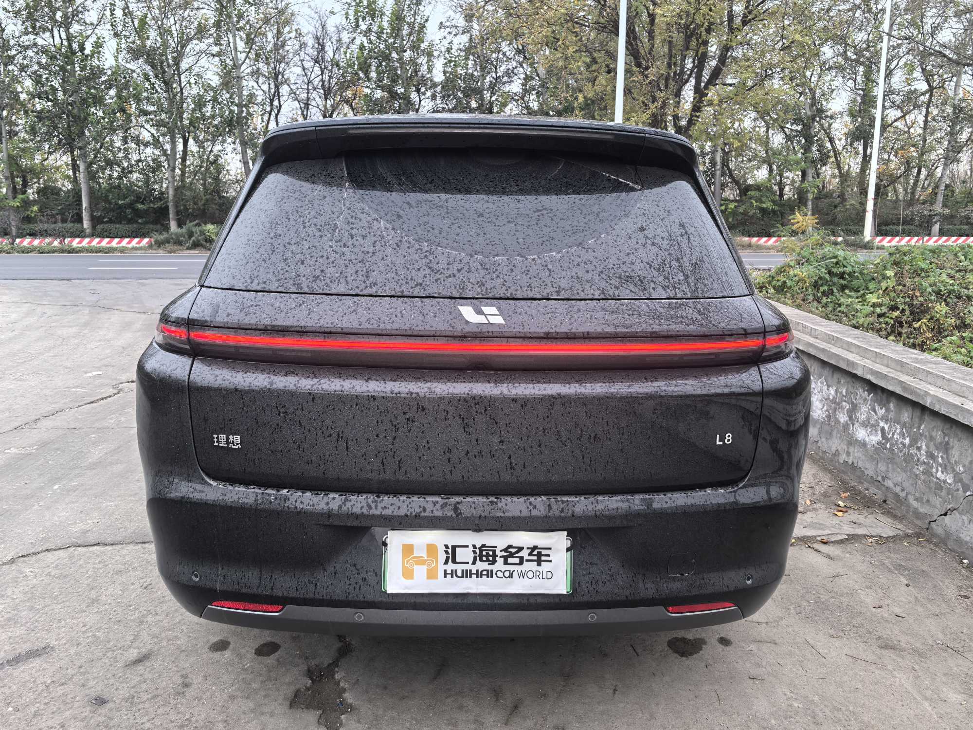 Li L8 2024 imagem de carro #5