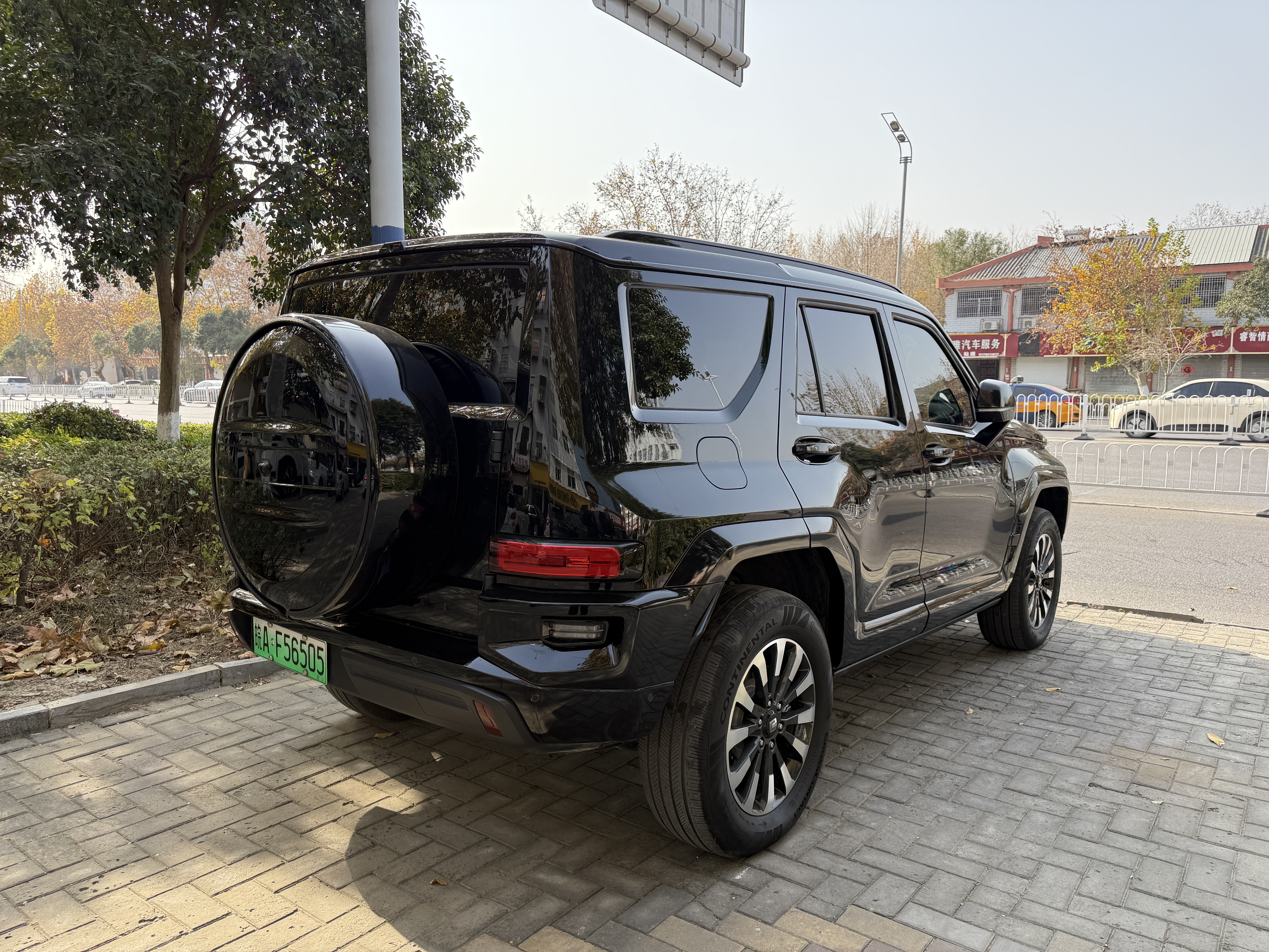 Tank 700 New Energy 2024 immagine di auto #5