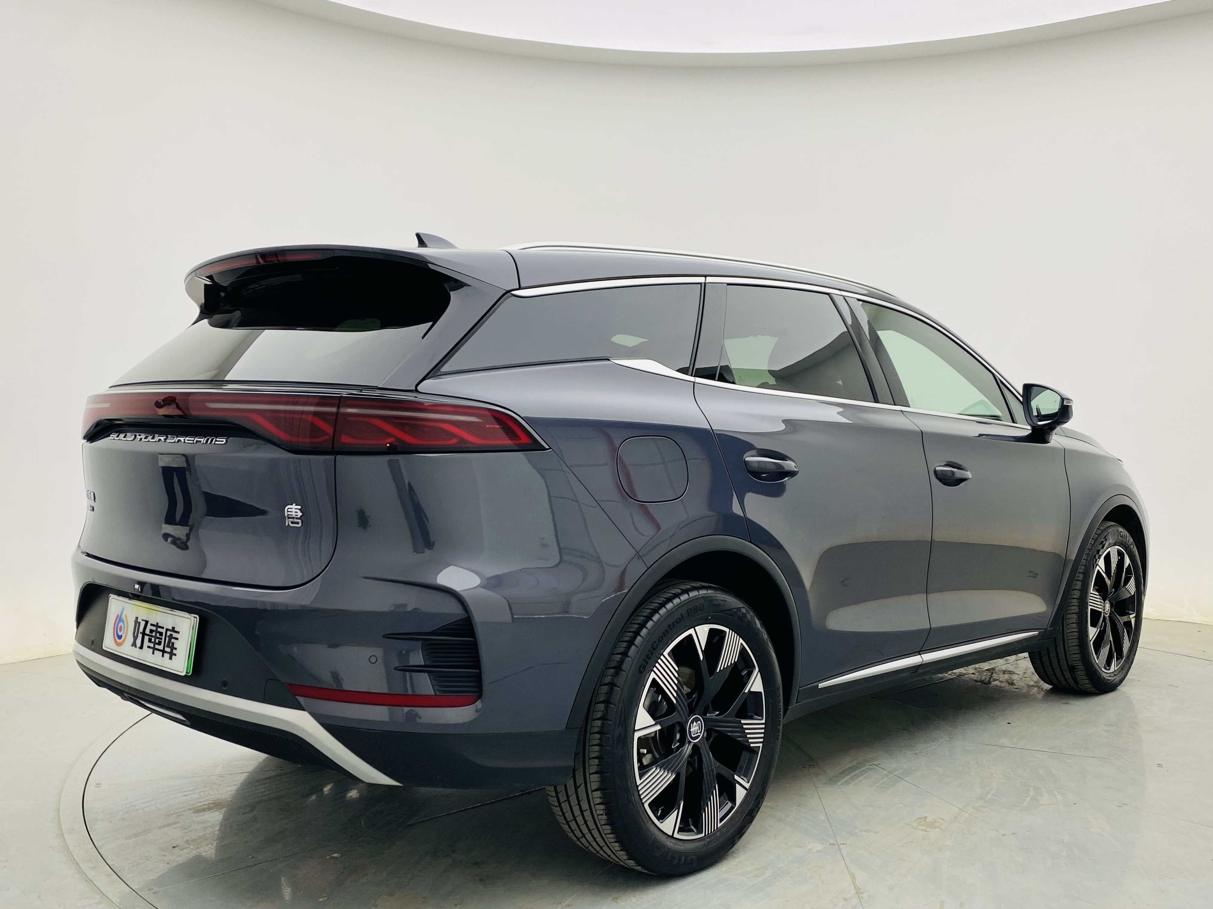 BYD Tang New Energy 2024 car image #5