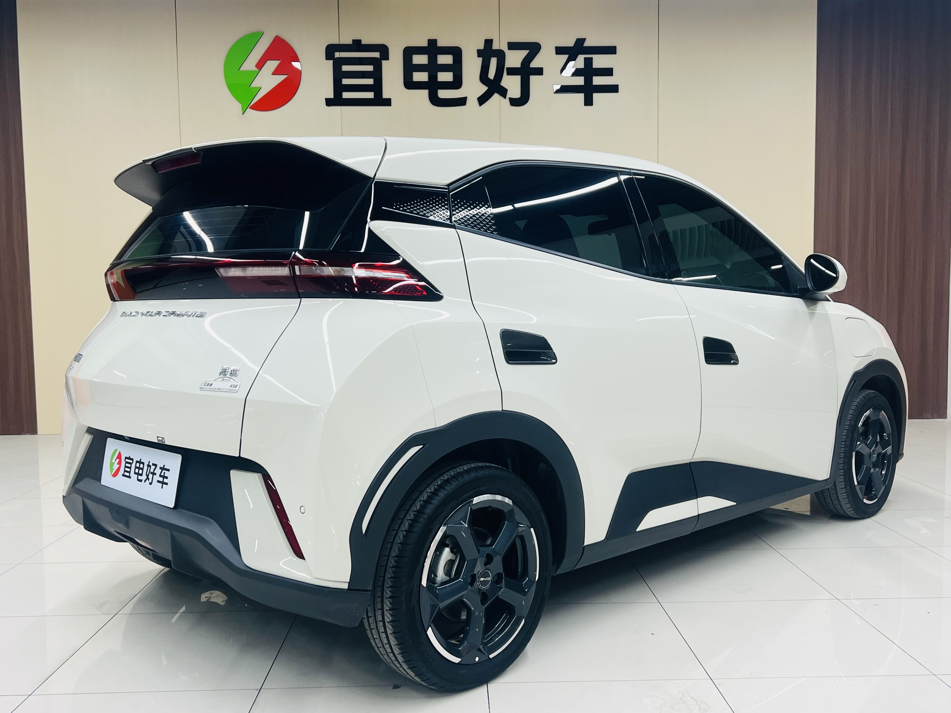 BYD Seagull 2024 car image #5