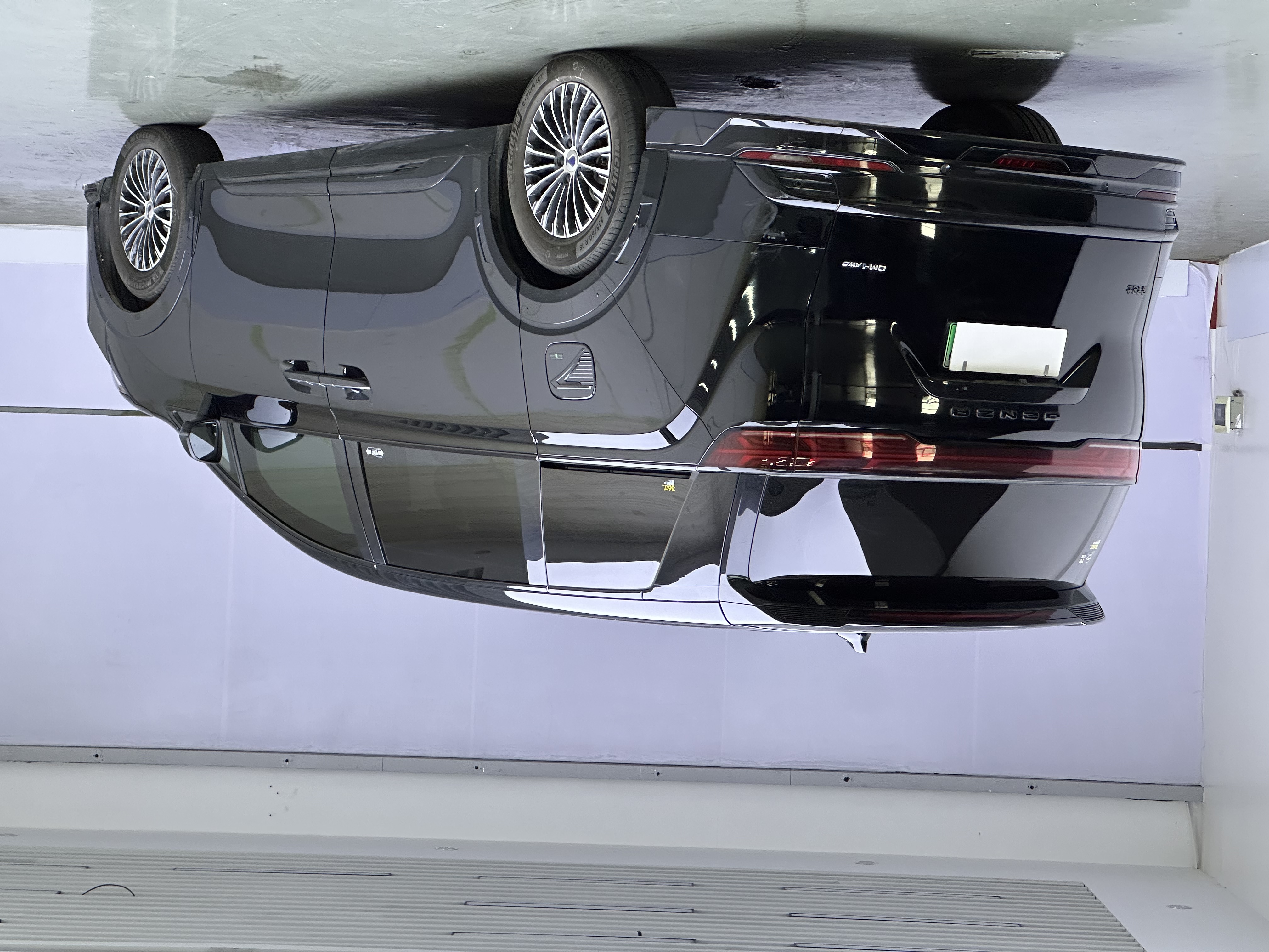 Denza D9 2024 imagem de carro #5