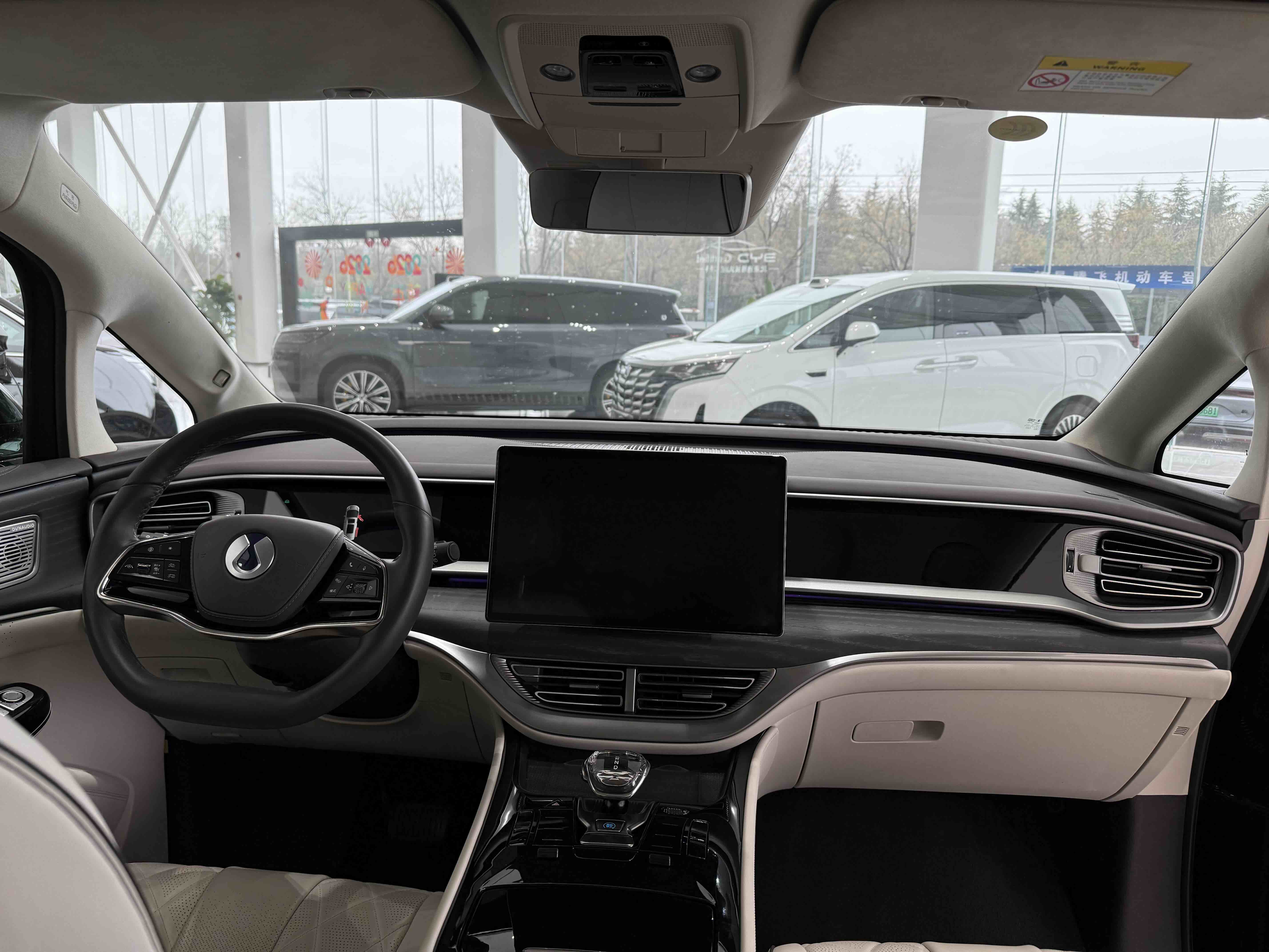 Denza D9 2024 car image #5