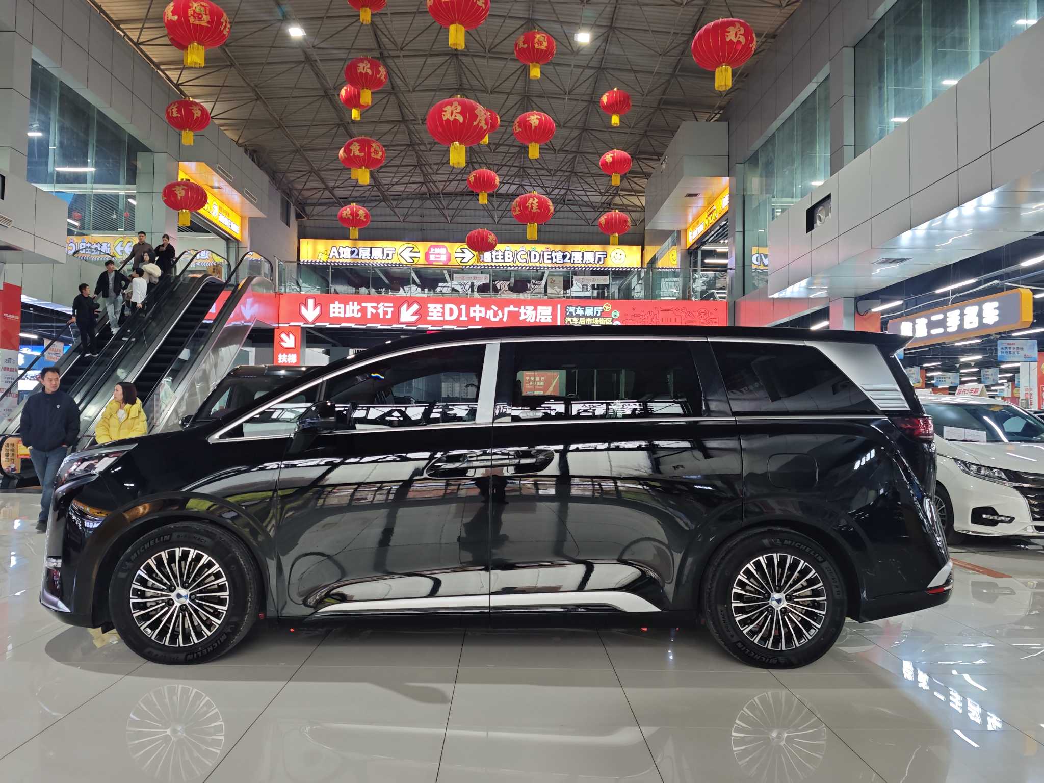 Denza D9 2025 imagem de carro #5