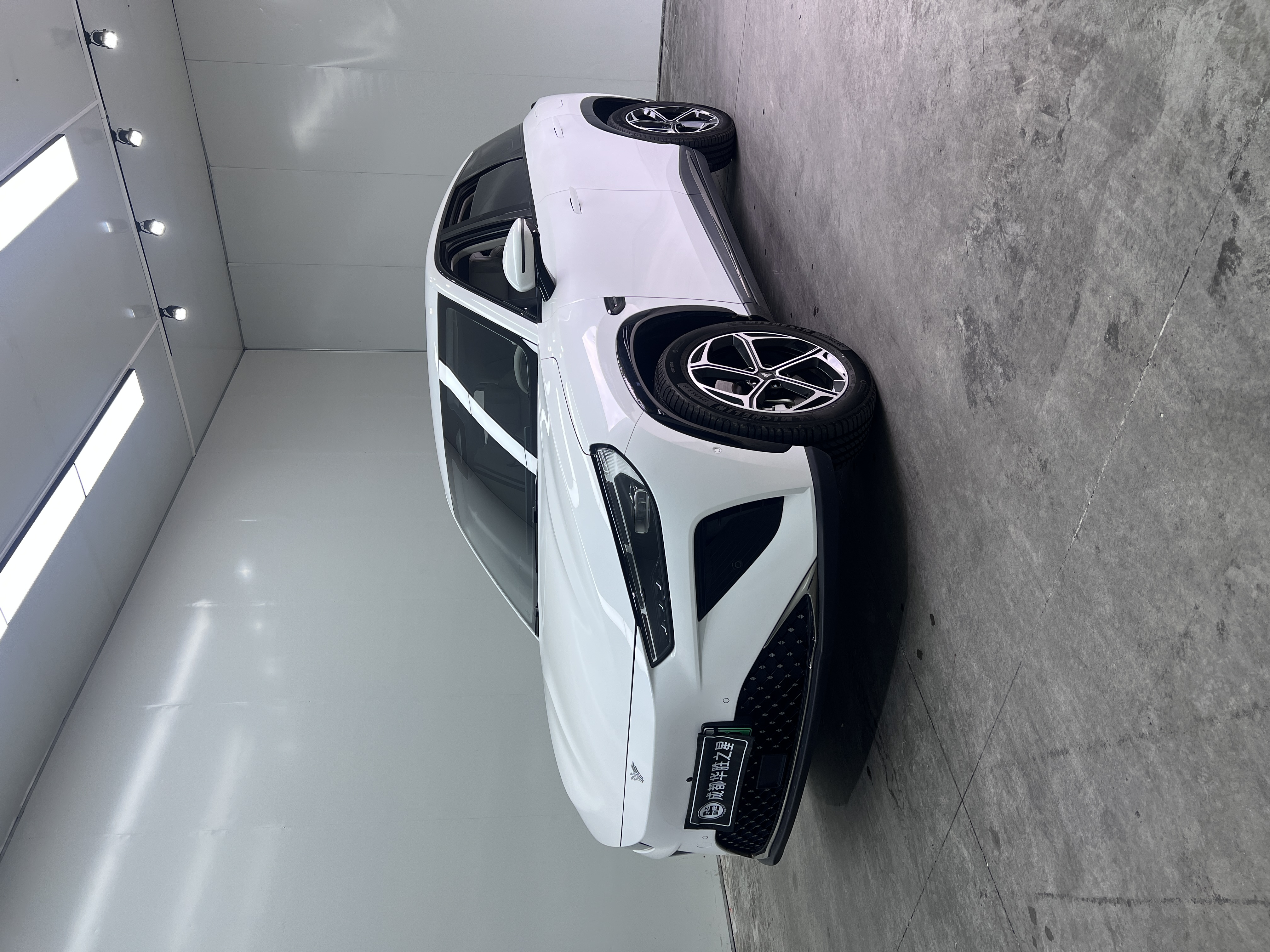 Neta L 2024 imagen de coche #5