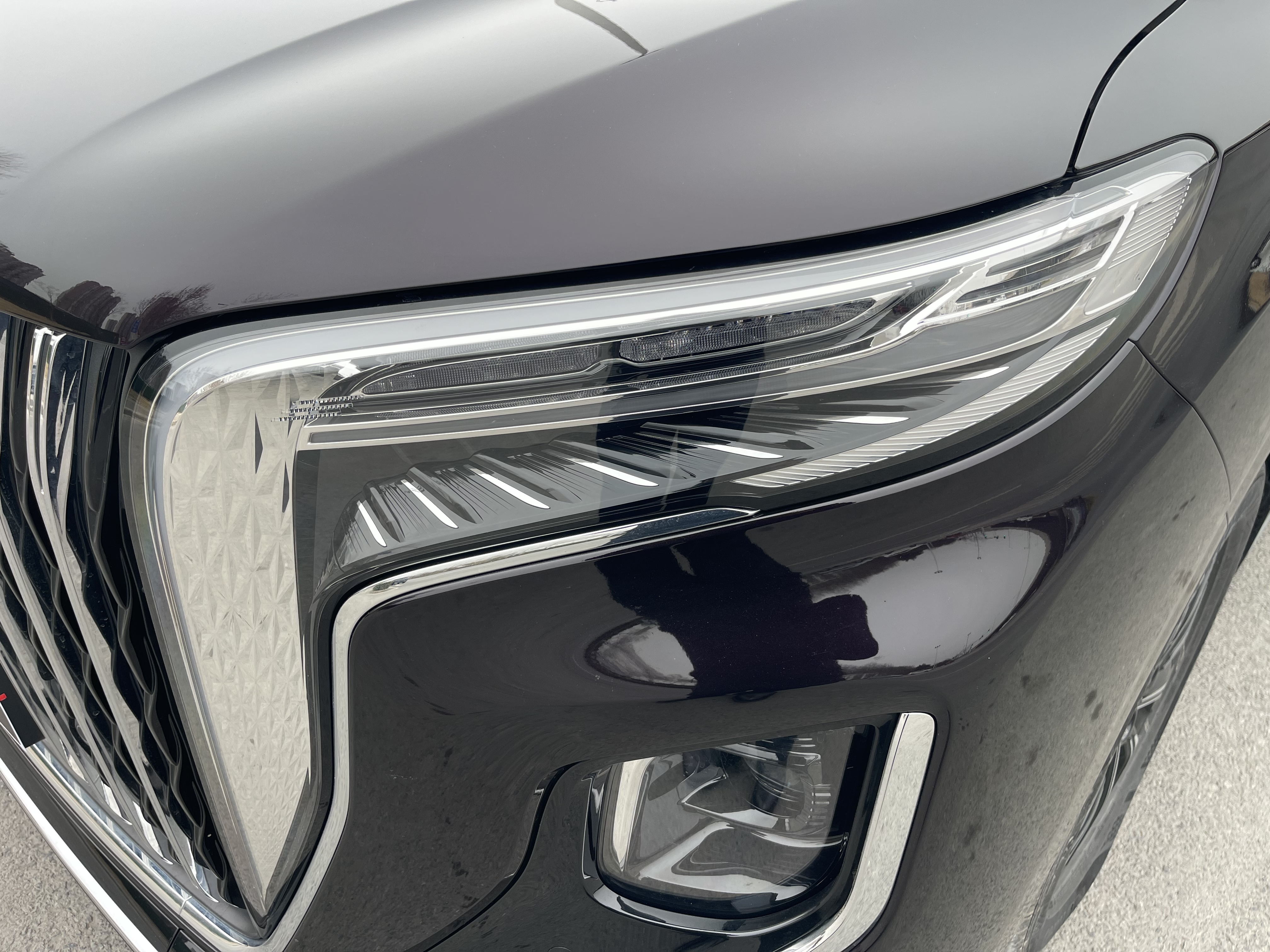 HongQi HQ9 PHEV 2024 car image #5