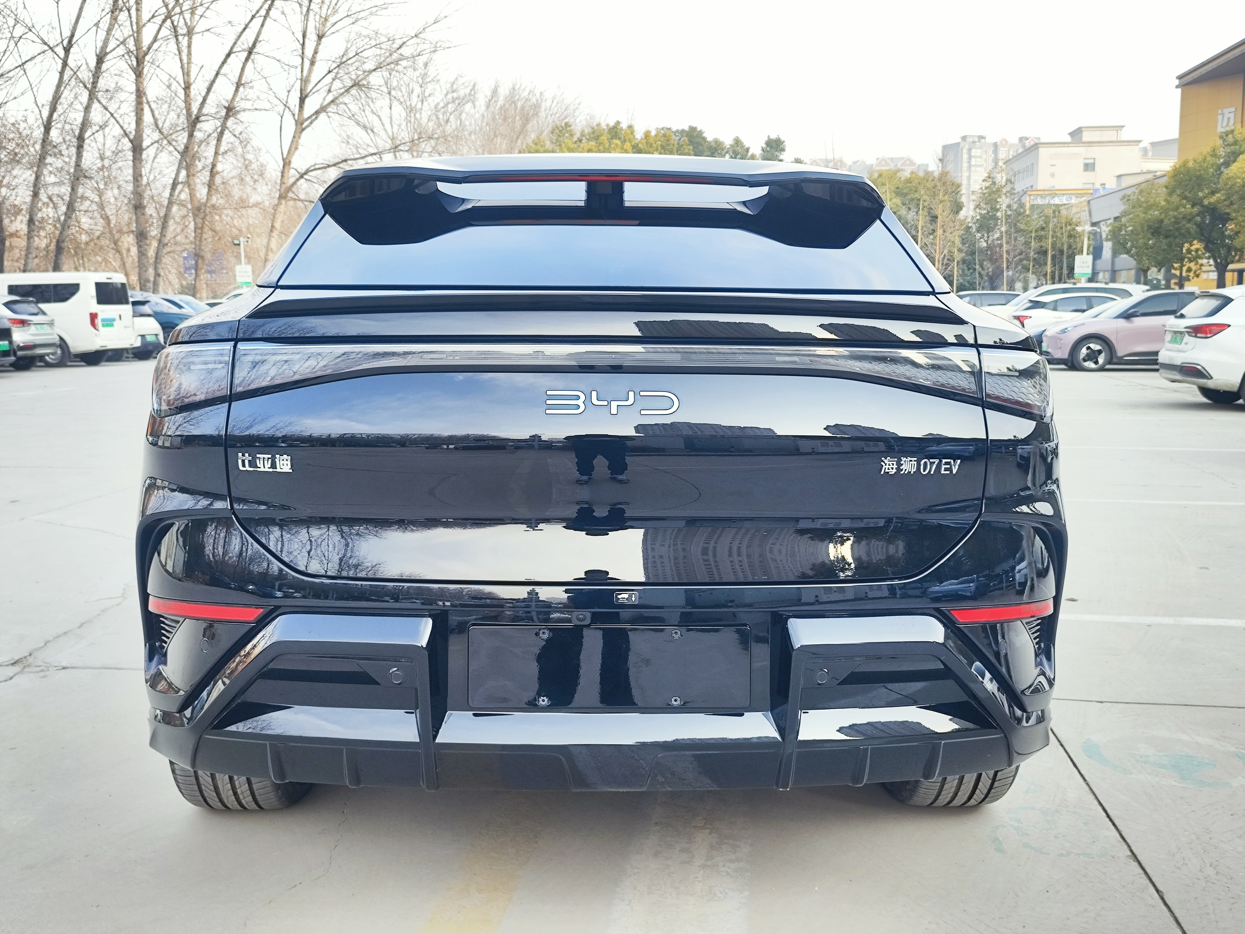 BYD Sea Lion 07 EV 2024 car image #5