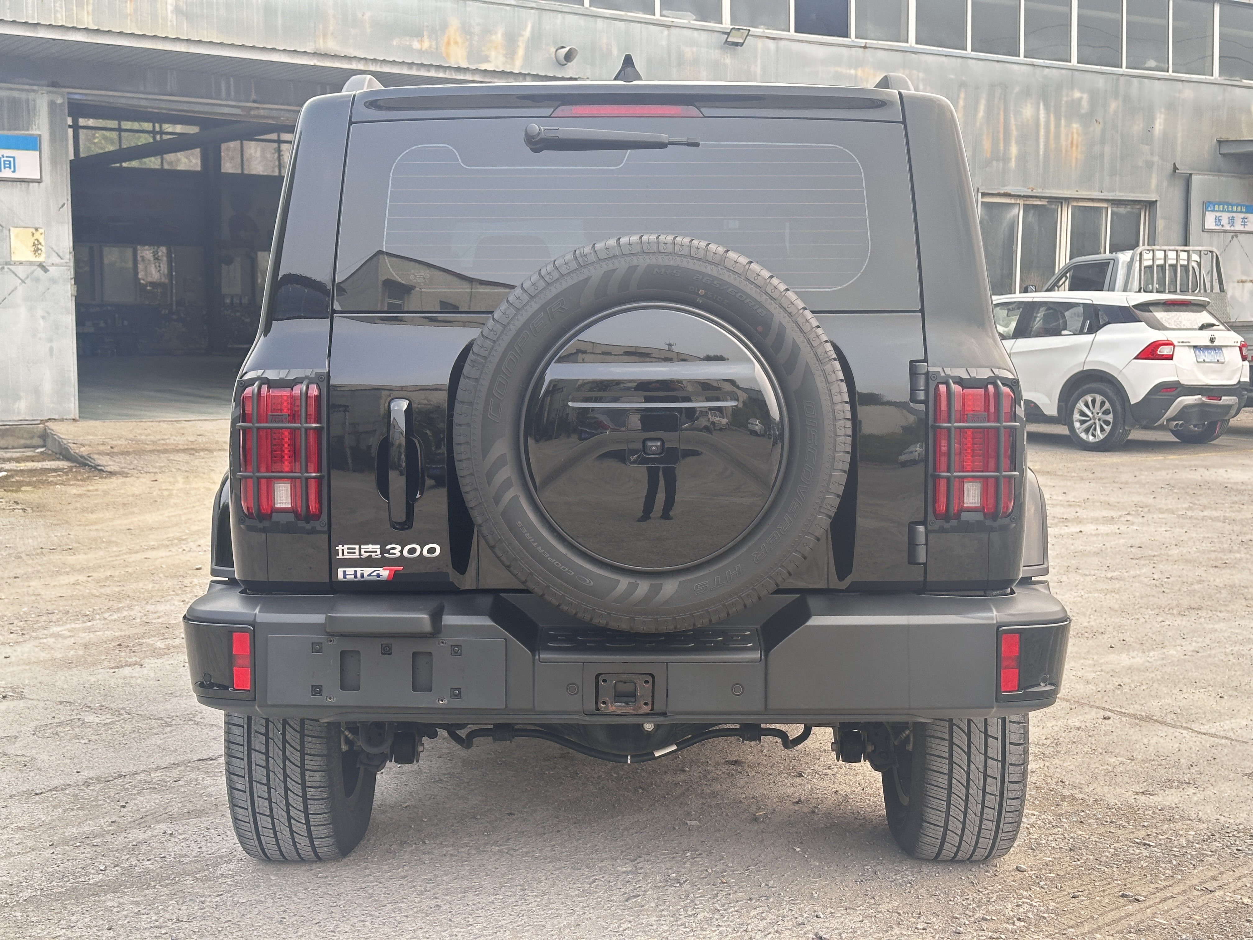 Tank 300 New Energy 2024 car image #5