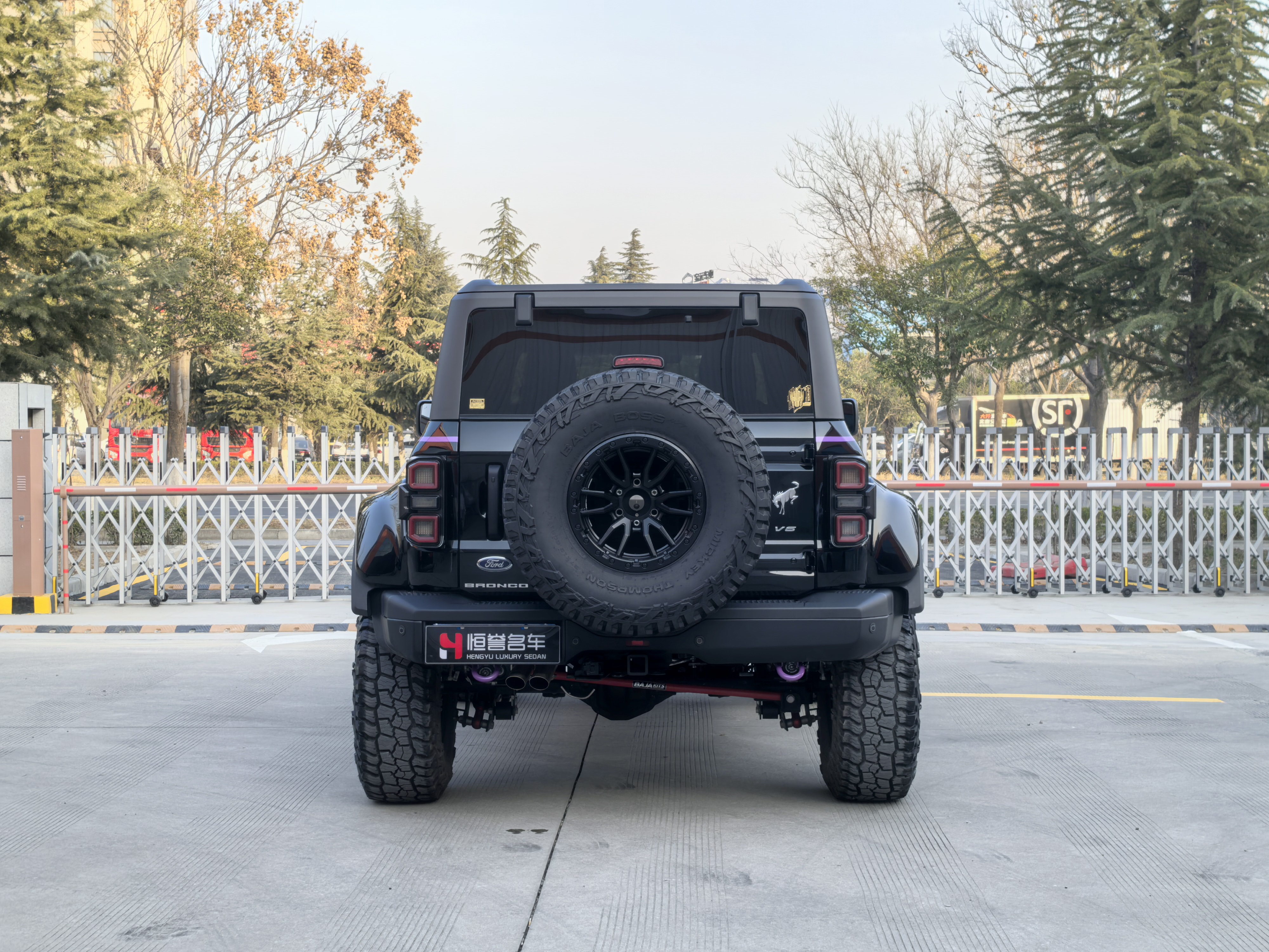 福特 福特烈马 2025 #5 福特 福特烈马 2025 汽车图片 #5