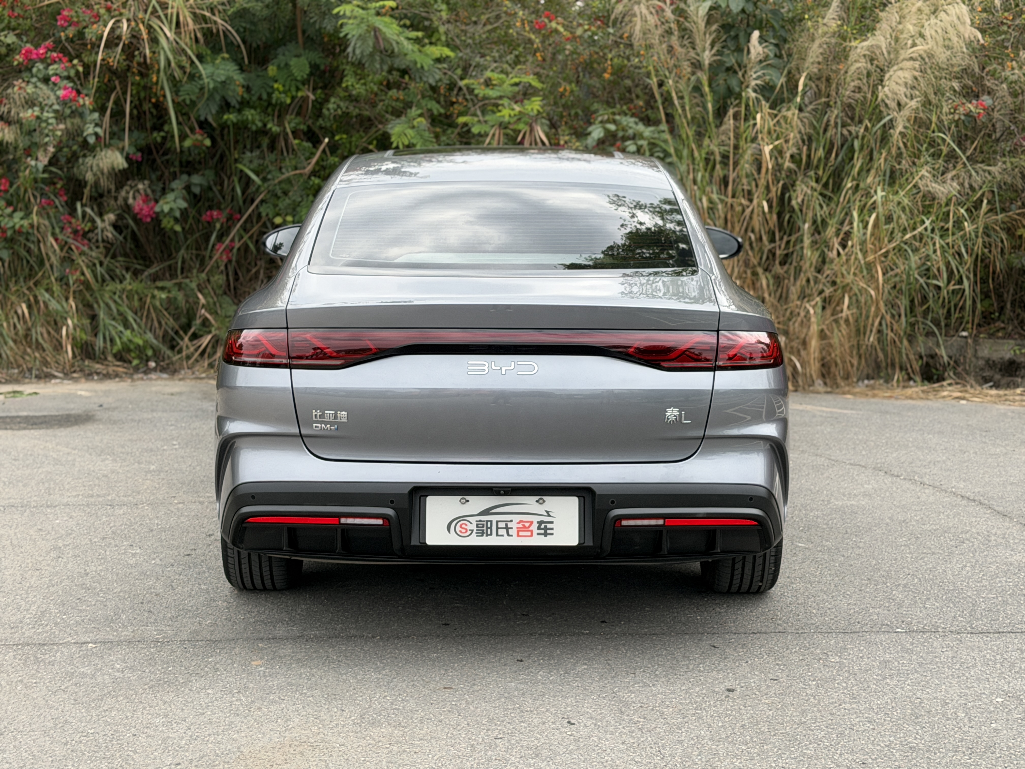 BYD Qin L 2024 car image #5