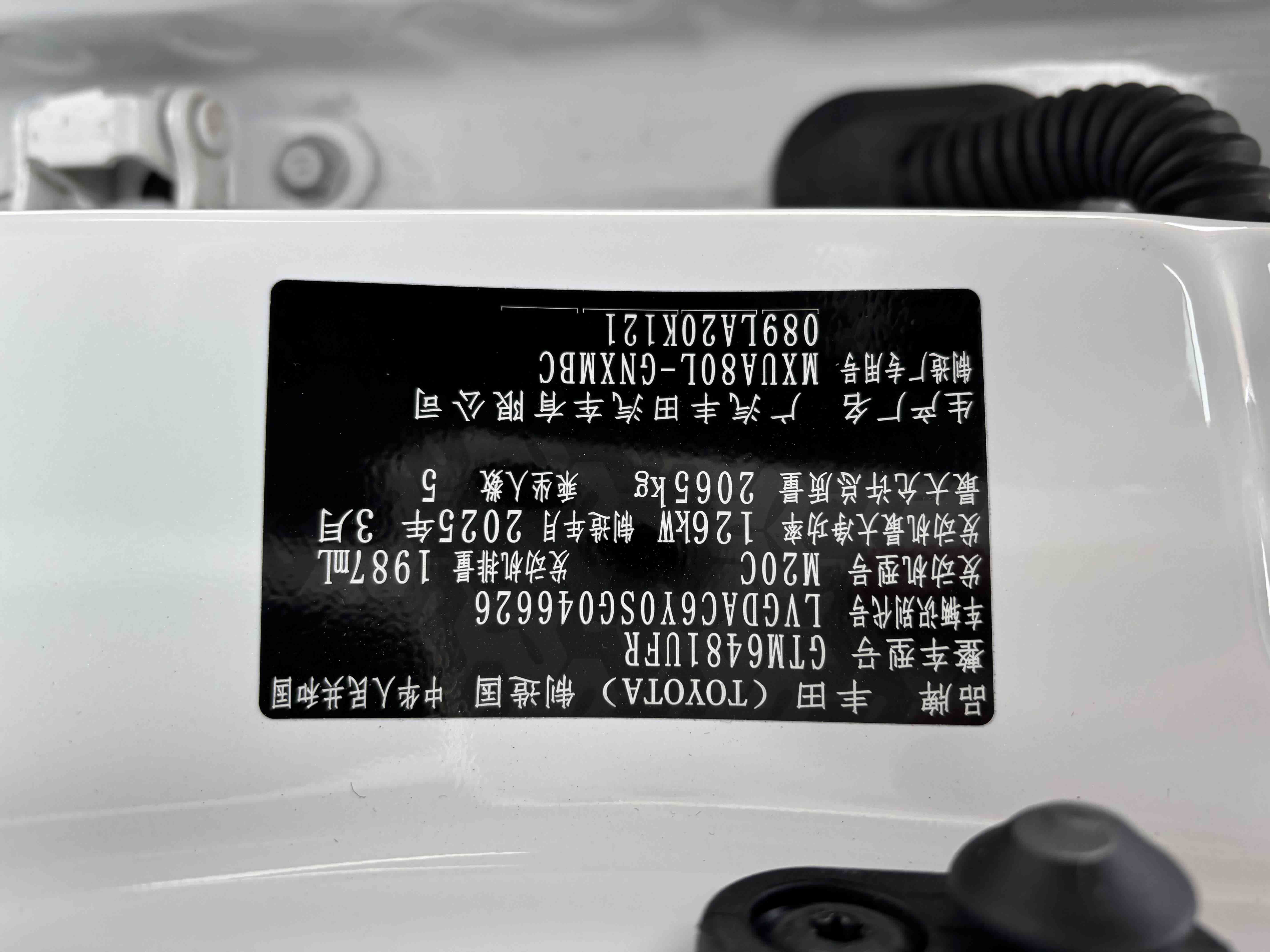 Toyota Venza 2025 immagine di auto #5