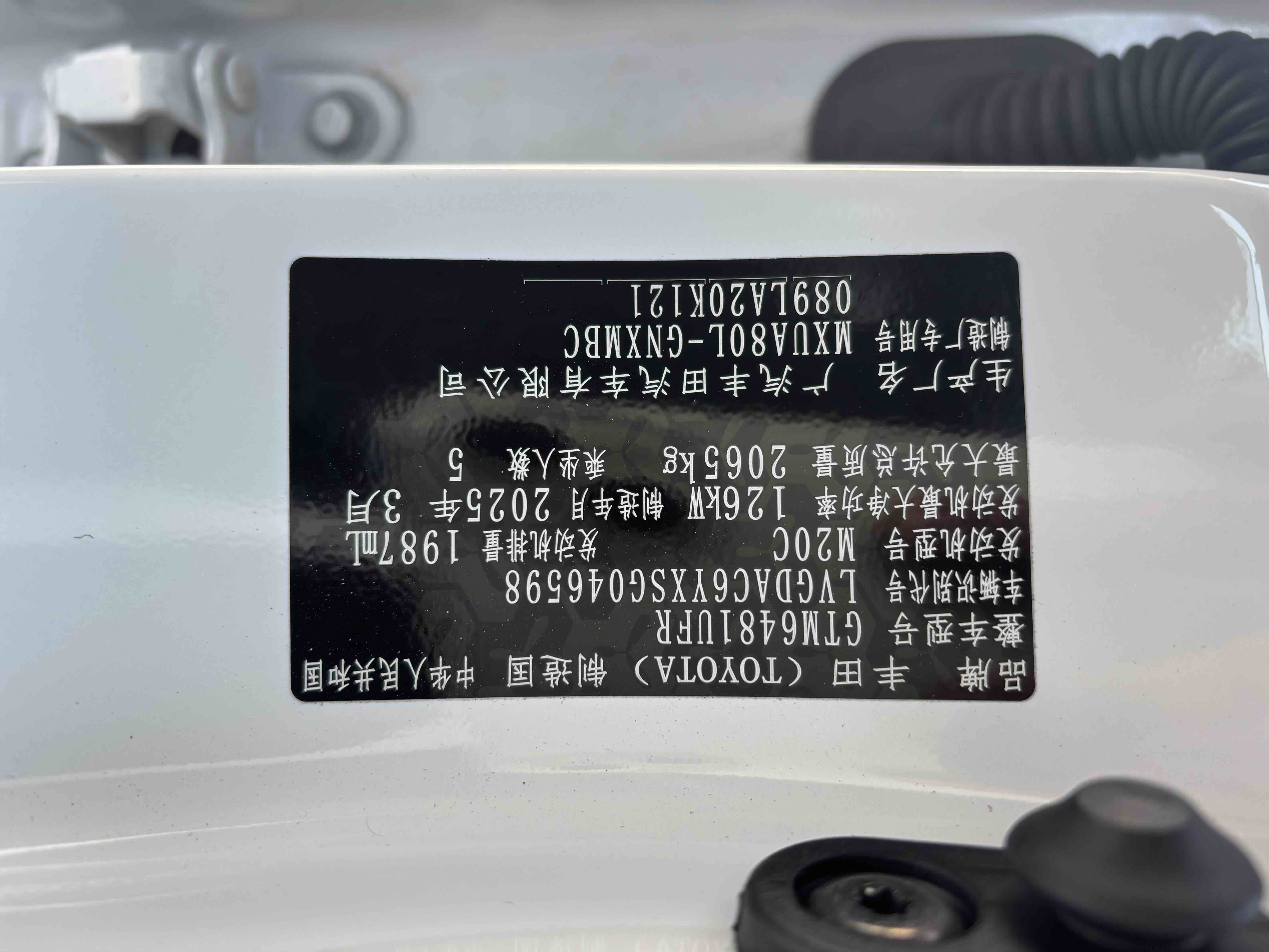 Toyota Venza 2025 immagine di auto #5