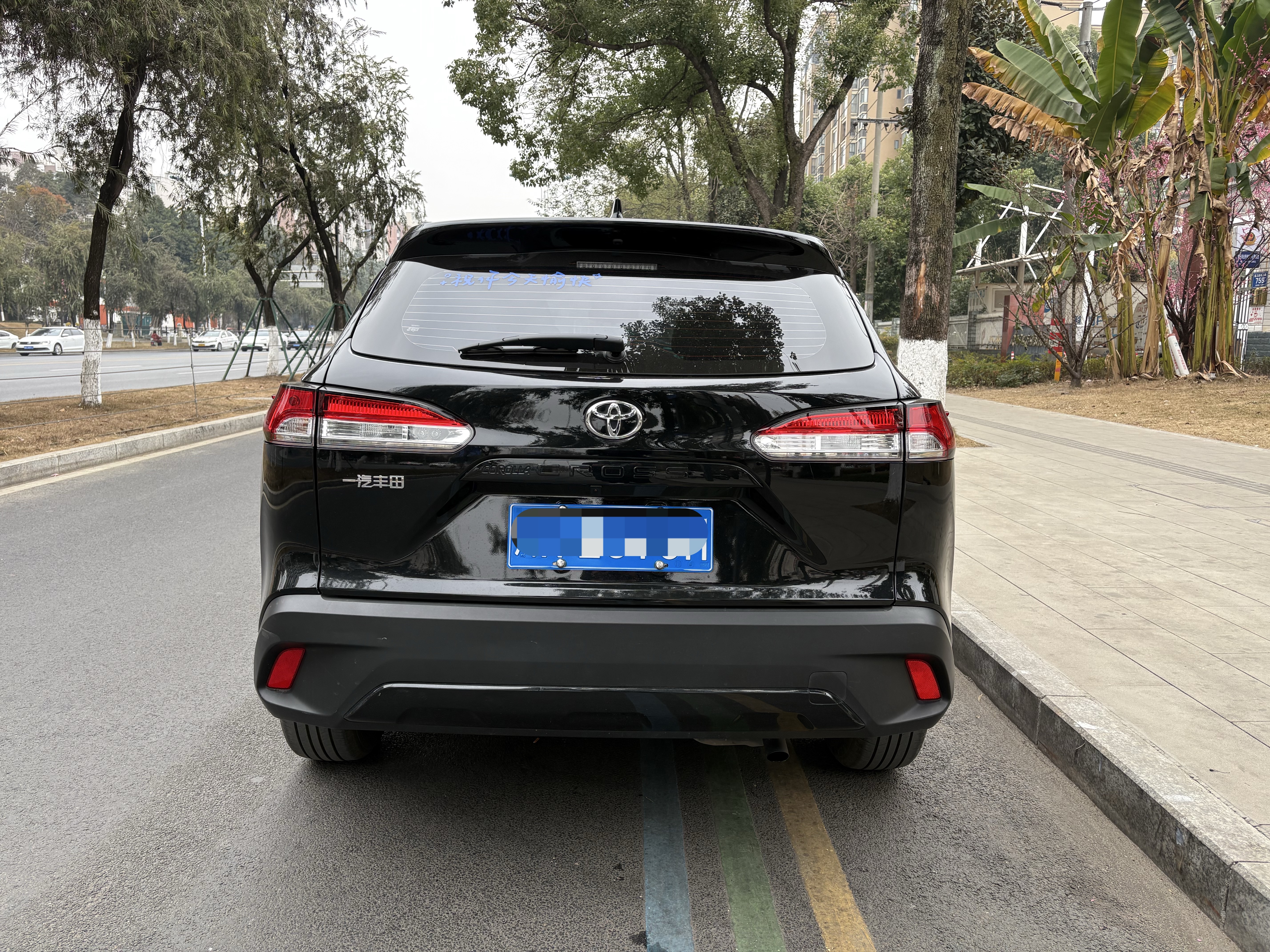 Toyota Corolla Cross 2024 immagine di auto #5