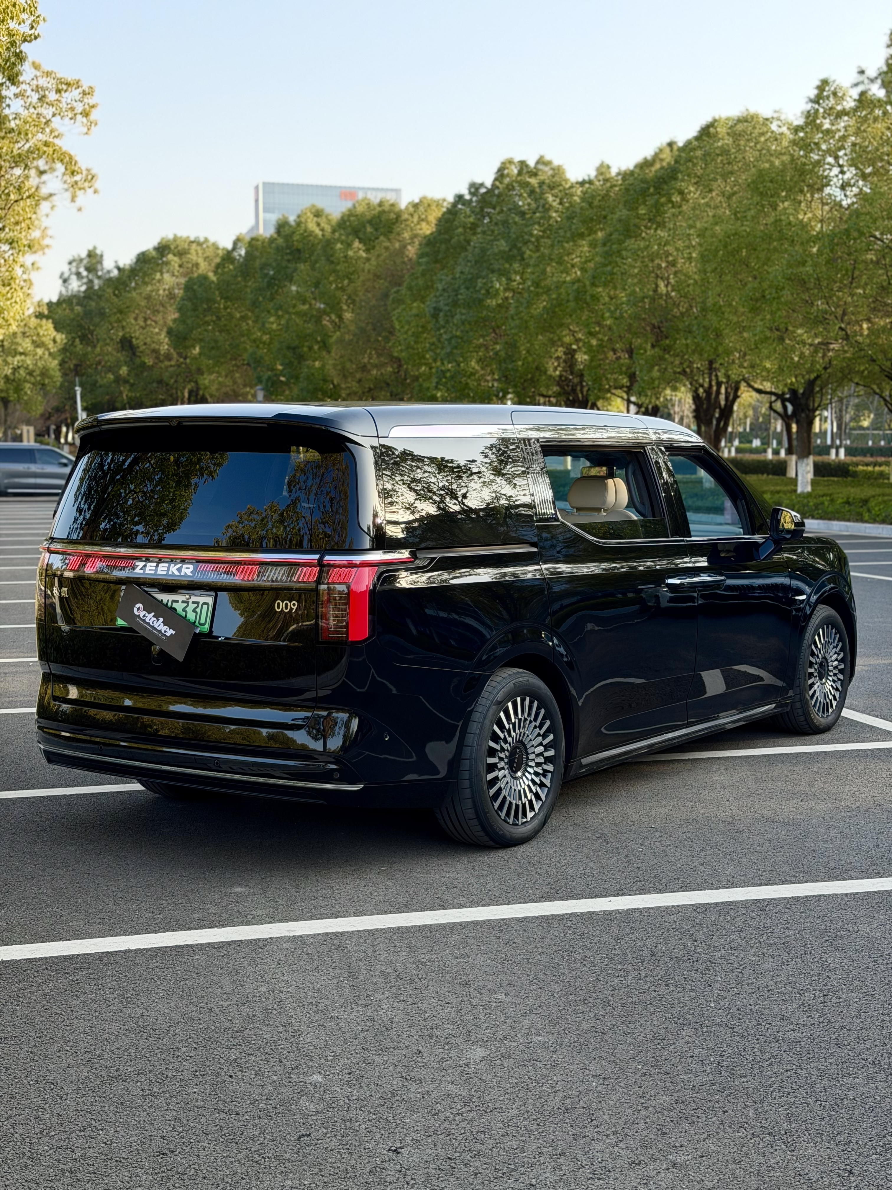 极氪 极氪009 2024 汽车图片 #5