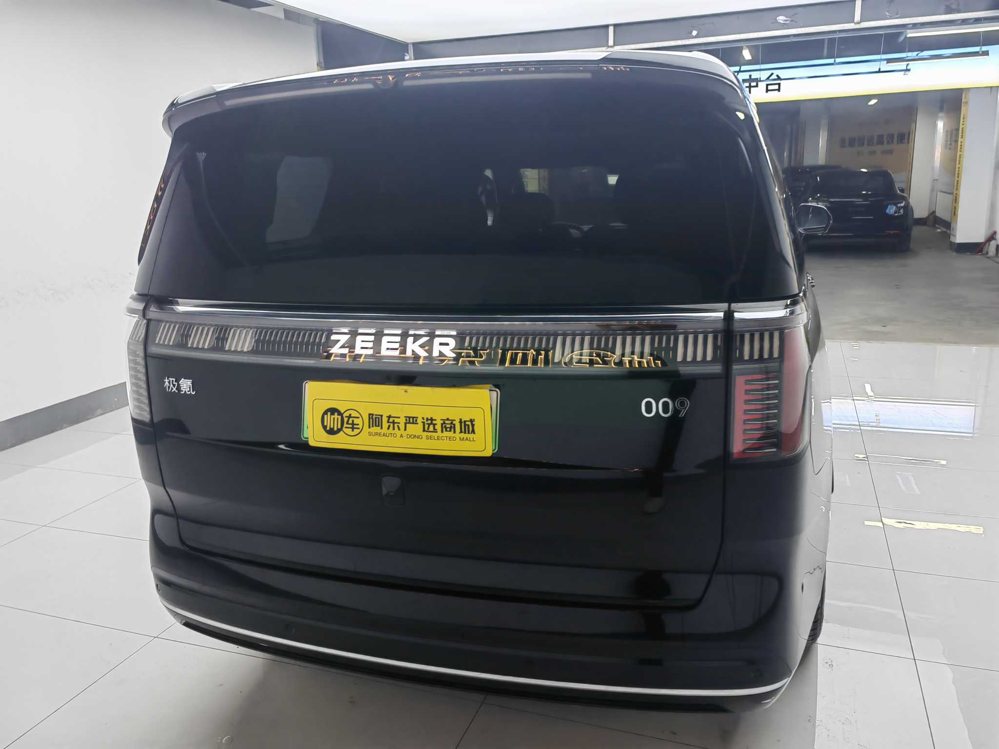 极氪 极氪009 2024 汽车图片 #5