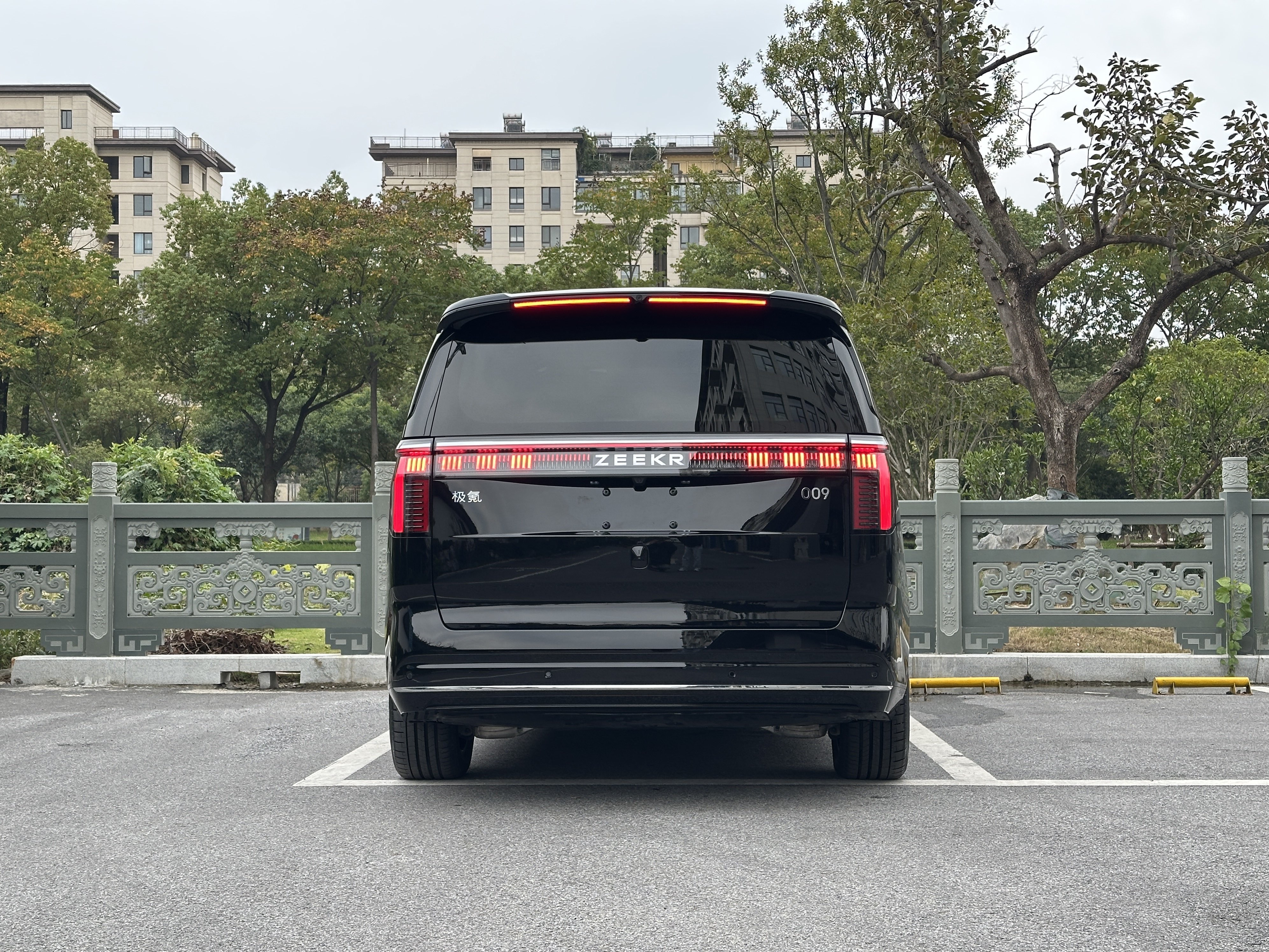 极氪 极氪009 2024 汽车图片 #5