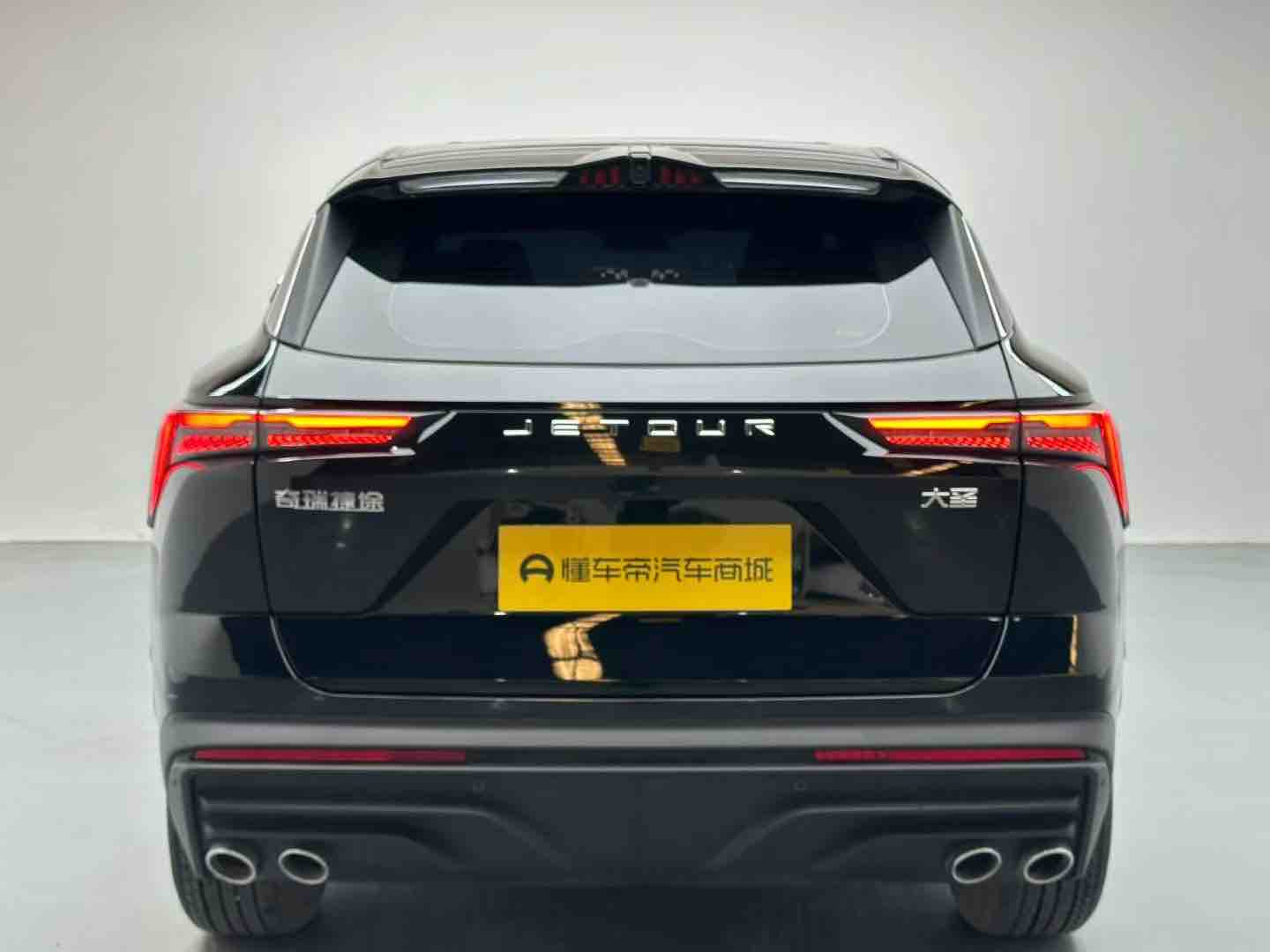 Jetour Shanhai Dashing 2025 car image #5