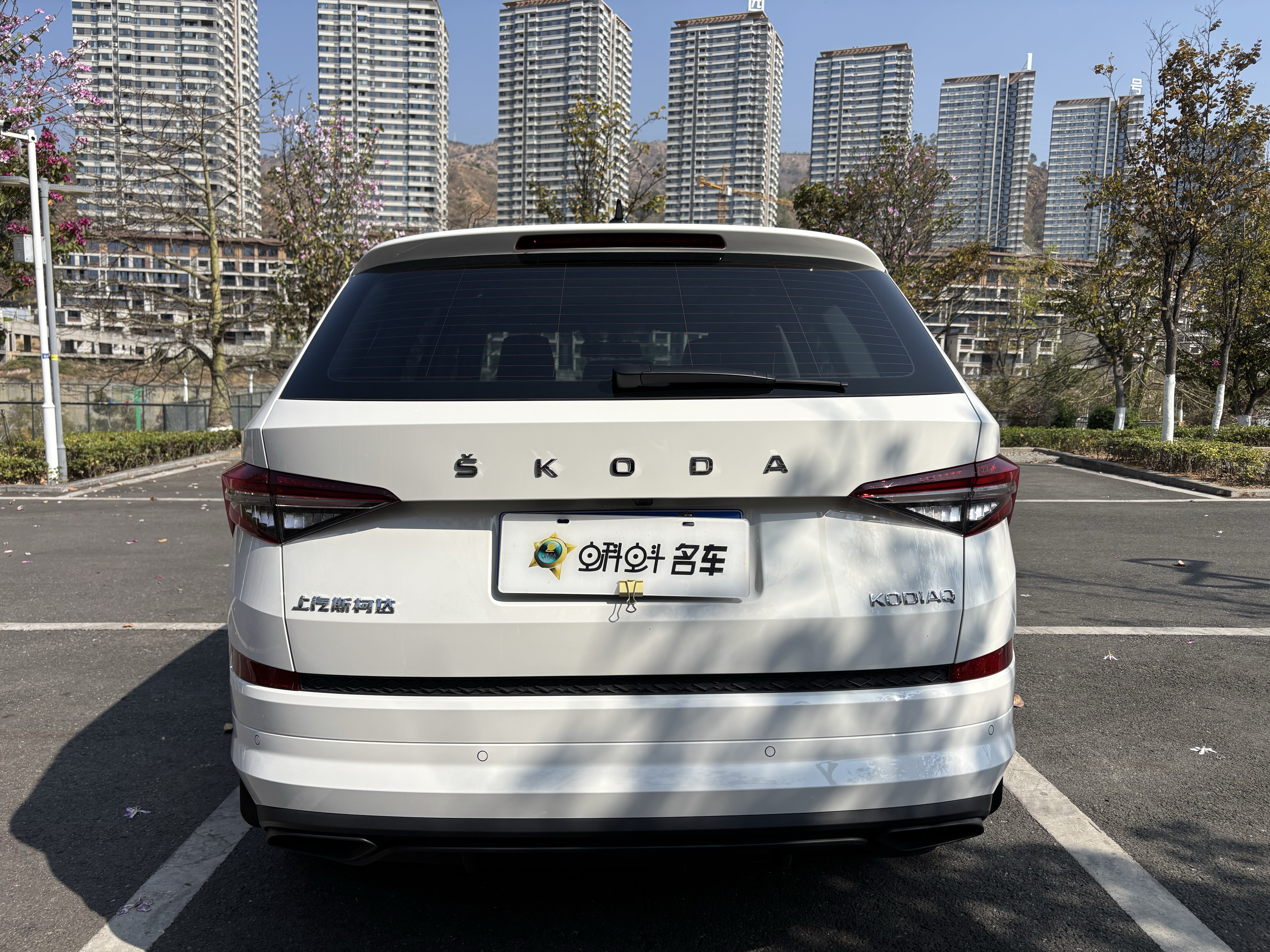 Skoda Kodiaq 2025 صورة سيارة #5
