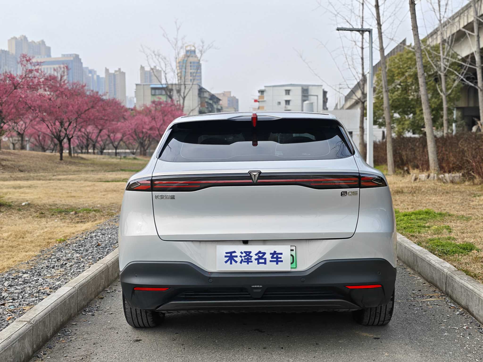 Deepal S05 2025 #5 Deepal S05 2025 car image #5