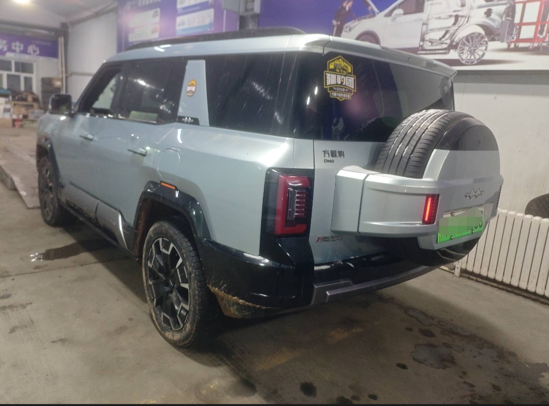 FangChengBao Leopard 8 2024 immagine di auto #5