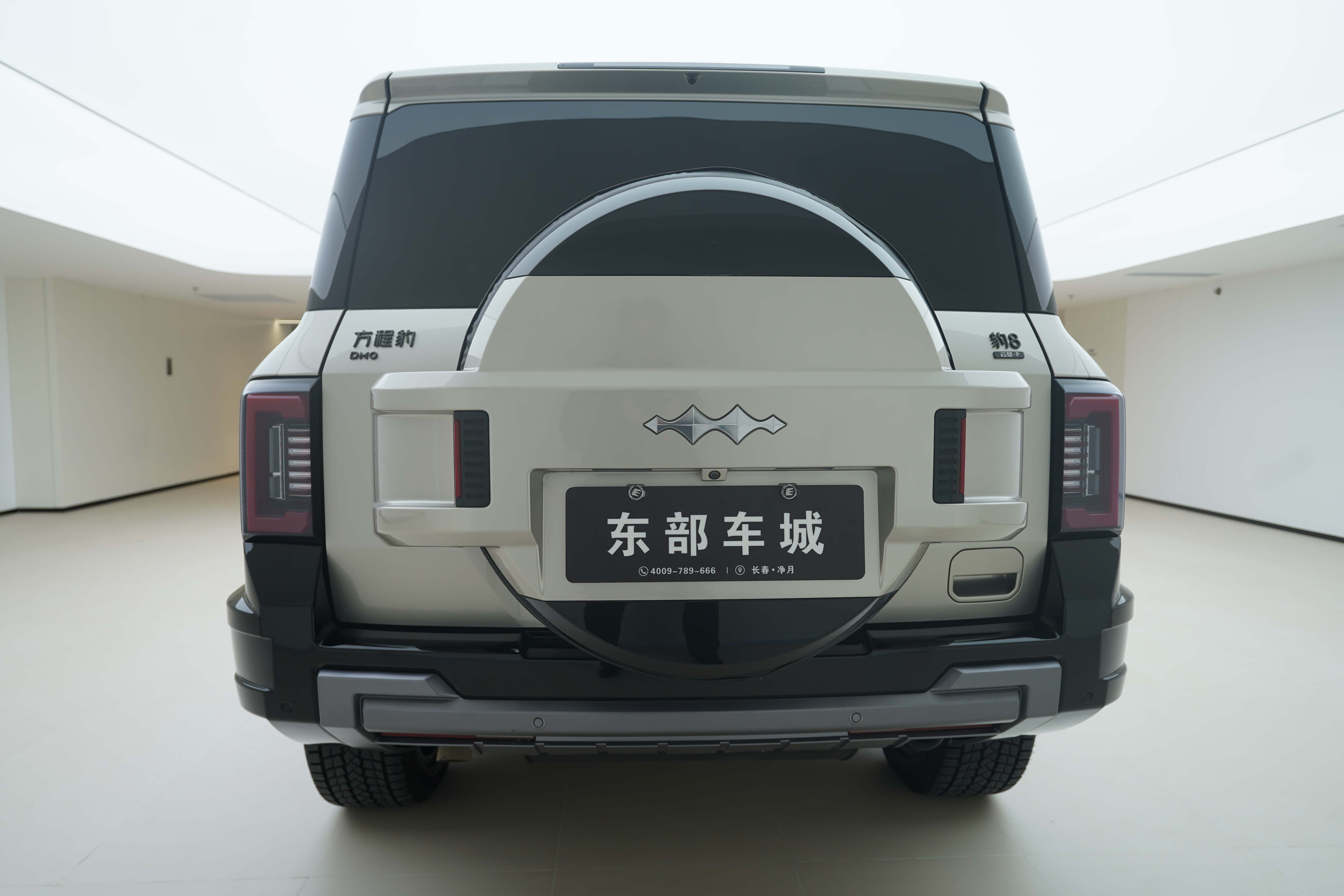 FangChengBao Leopard 8 2024 immagine di auto #5