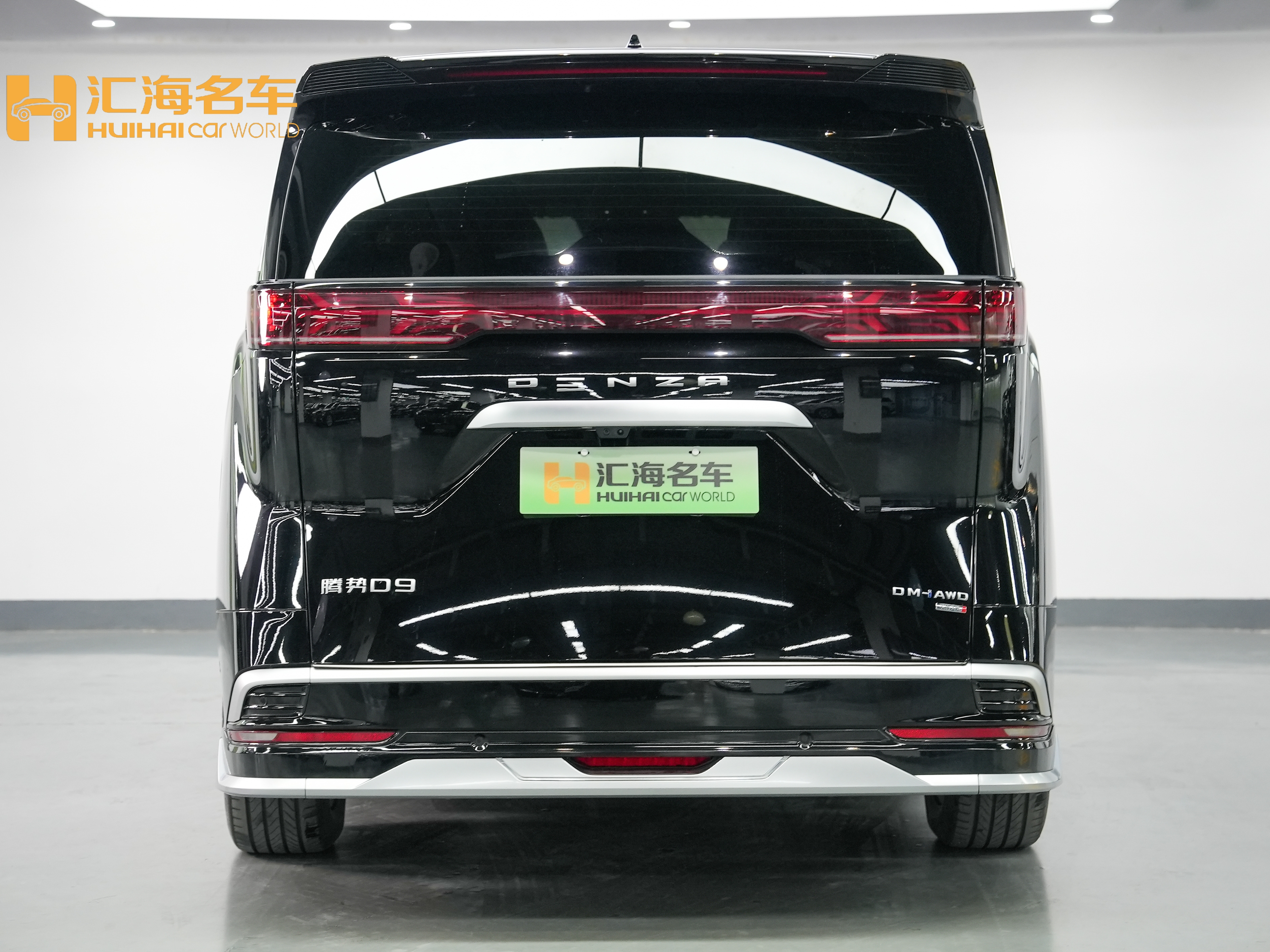Denza D9 2025 immagine di auto #5
