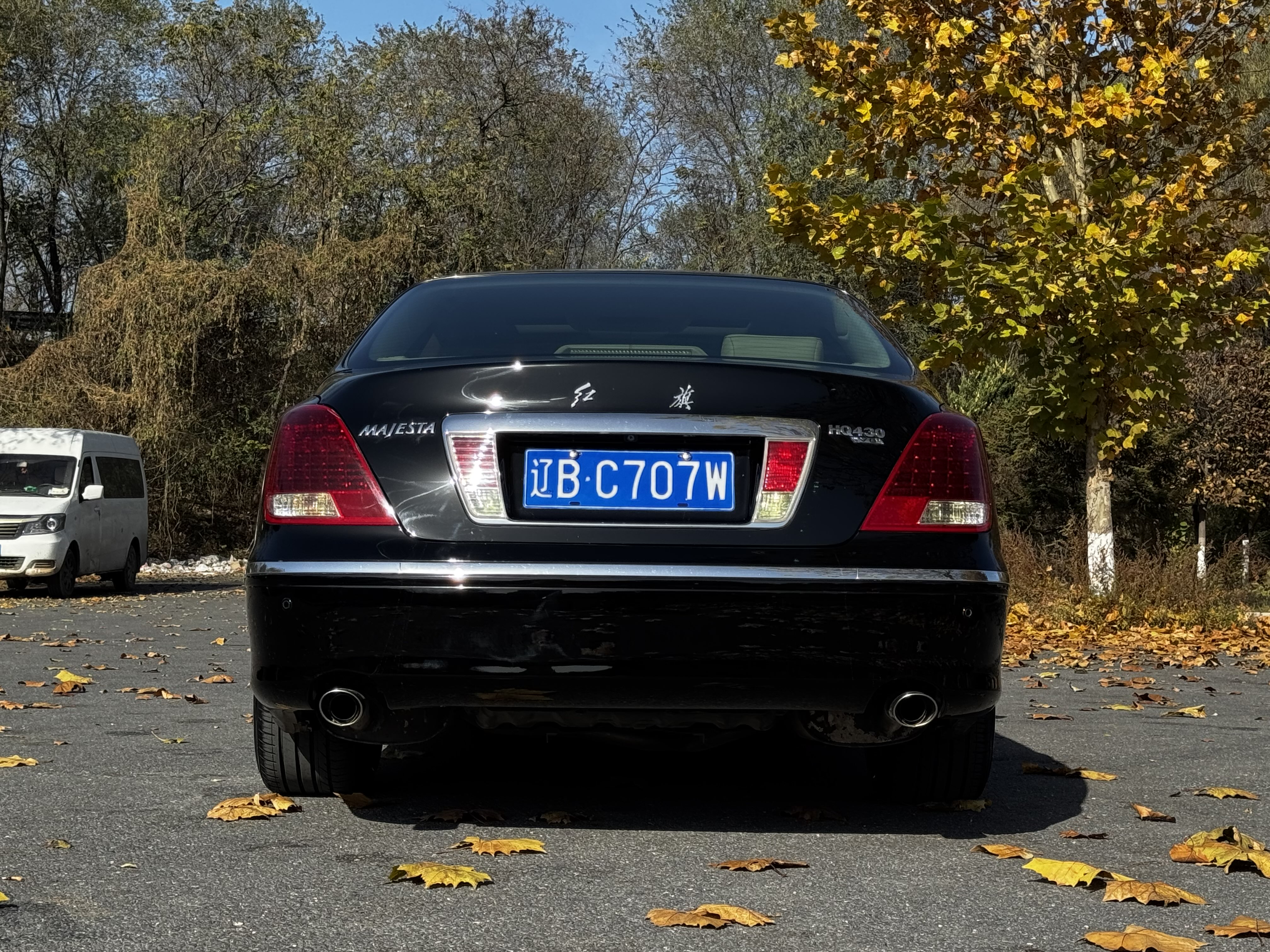 HongQi ShengShi 2009 car image #5