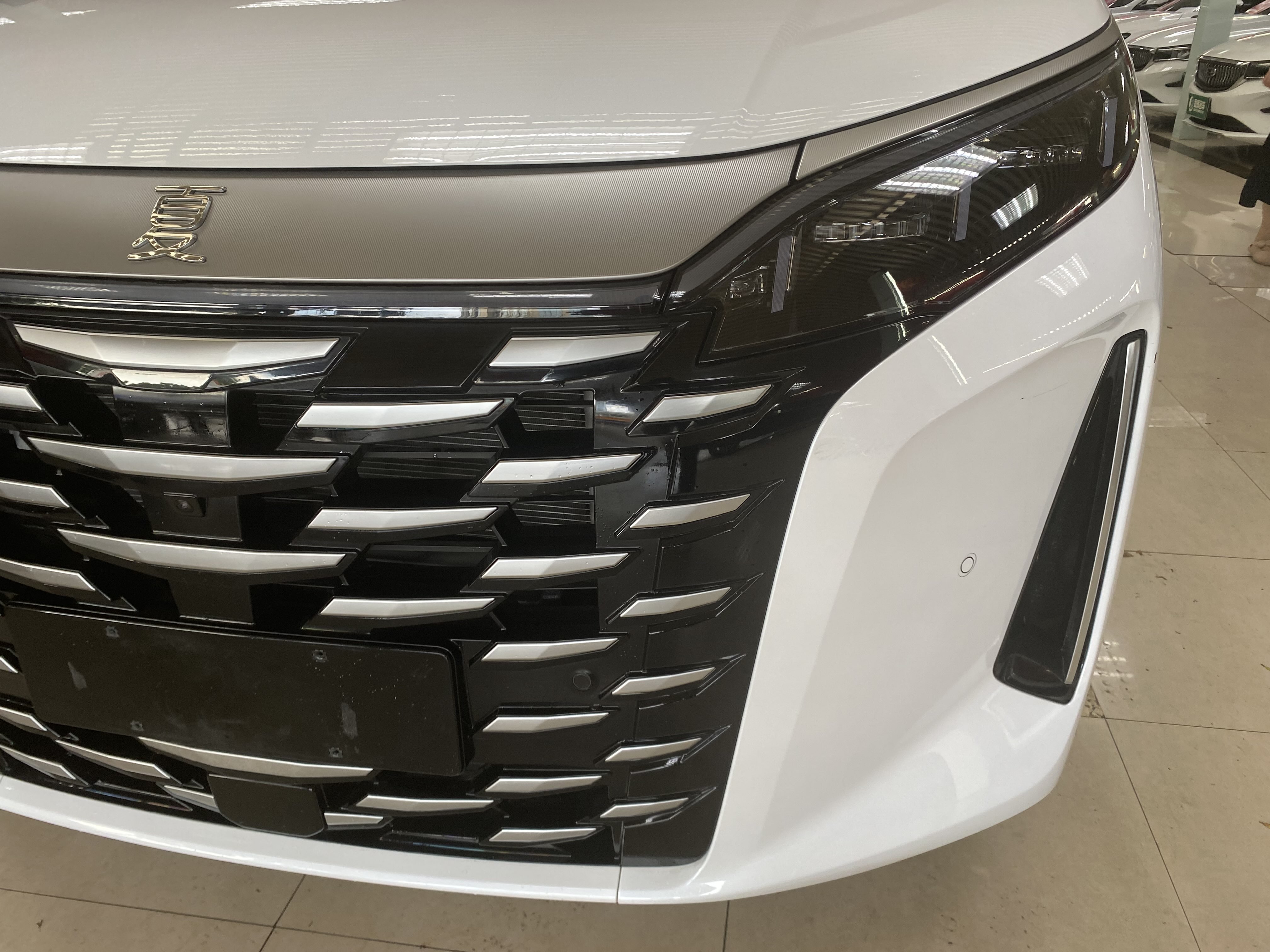 BYD Xia 2025 car image #5