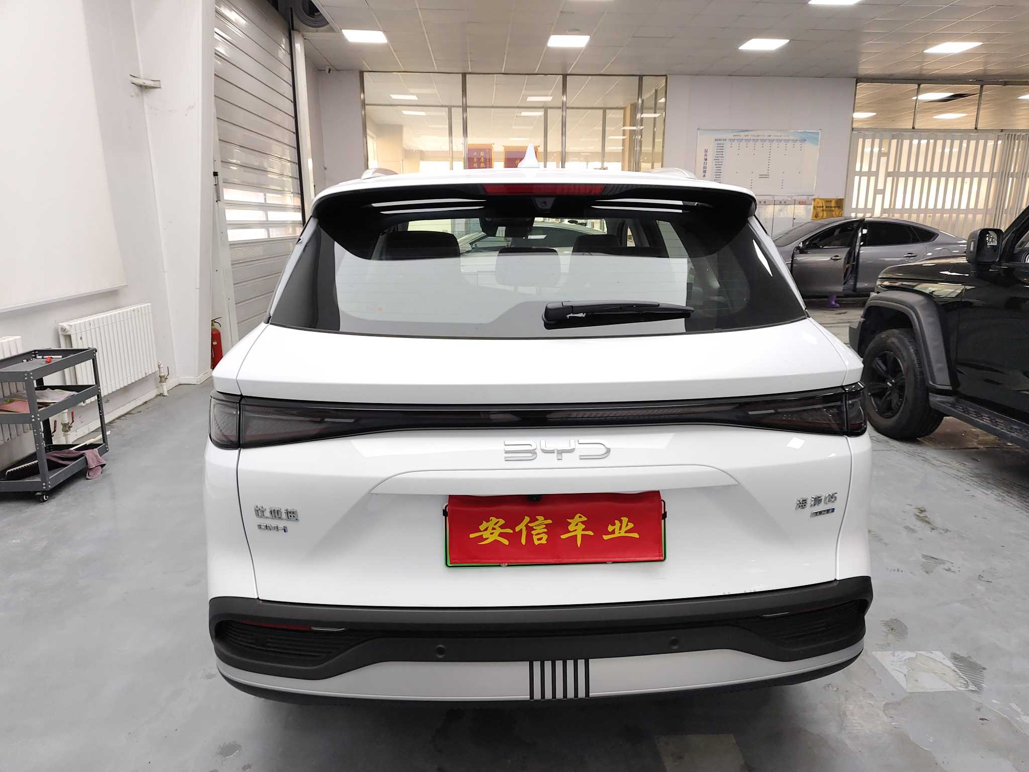 BYD Sea Lion 05 DM-i 2025 car image #5