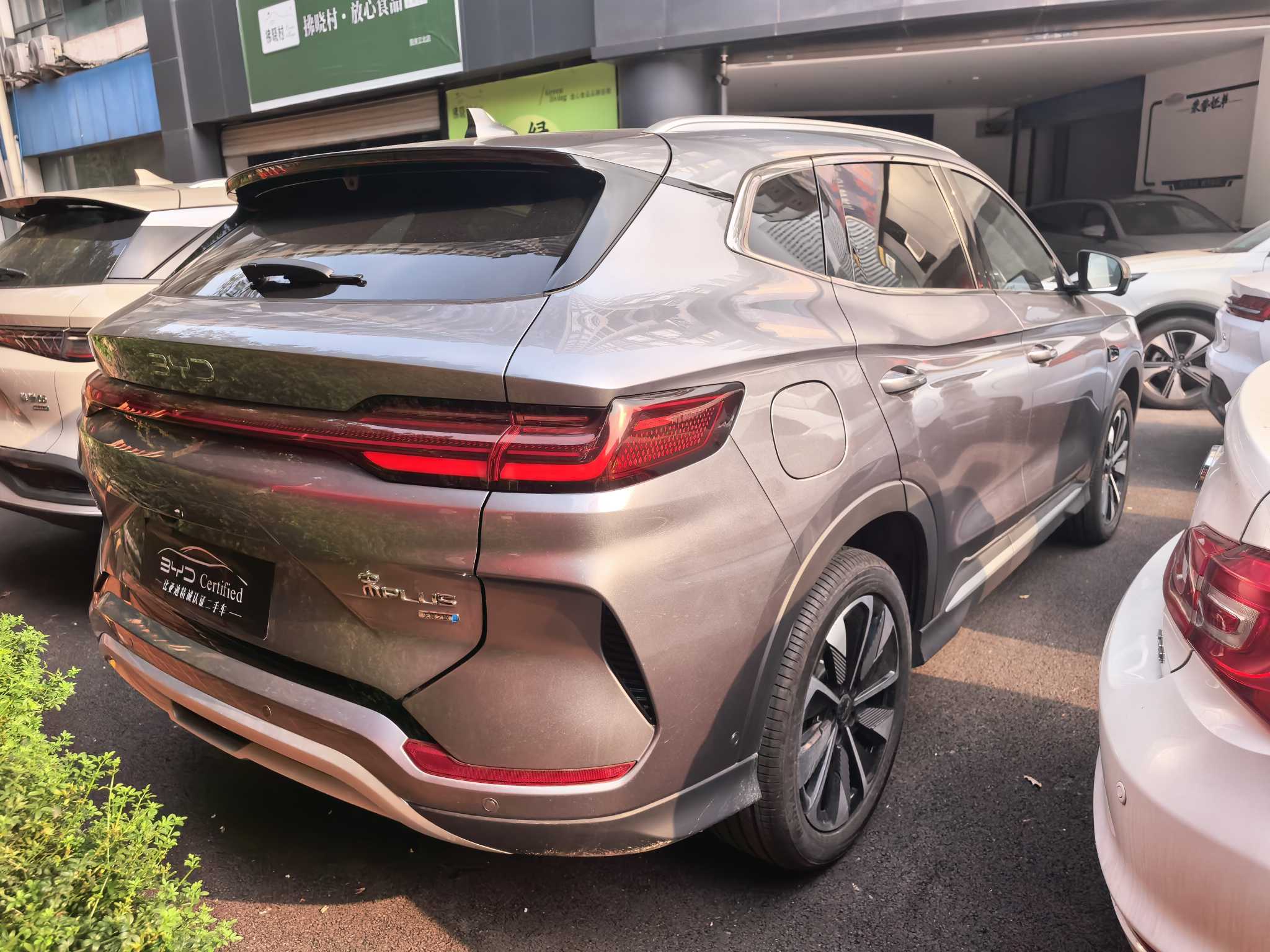 BYD Song Plus New Energy 2025 car image #5