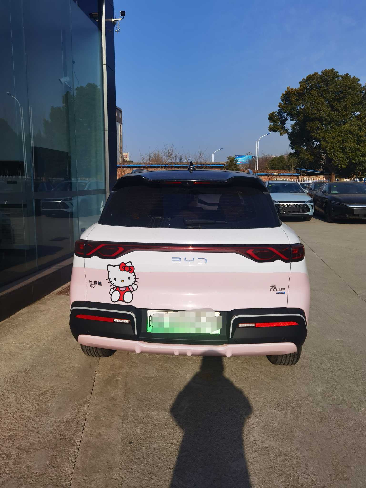 BYD YuanUP 2025 car image #5