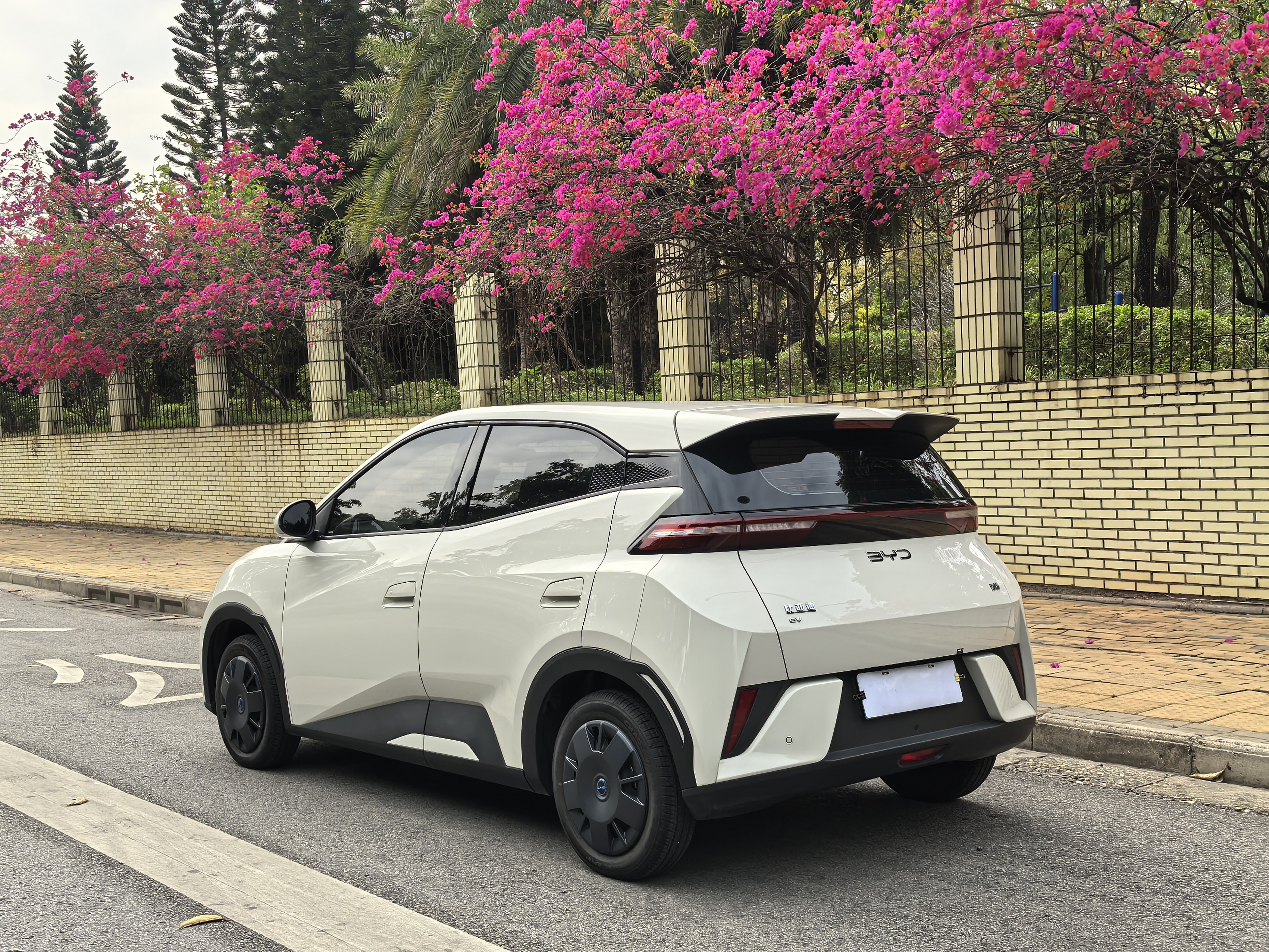 BYD Seagull 2025 car image #5