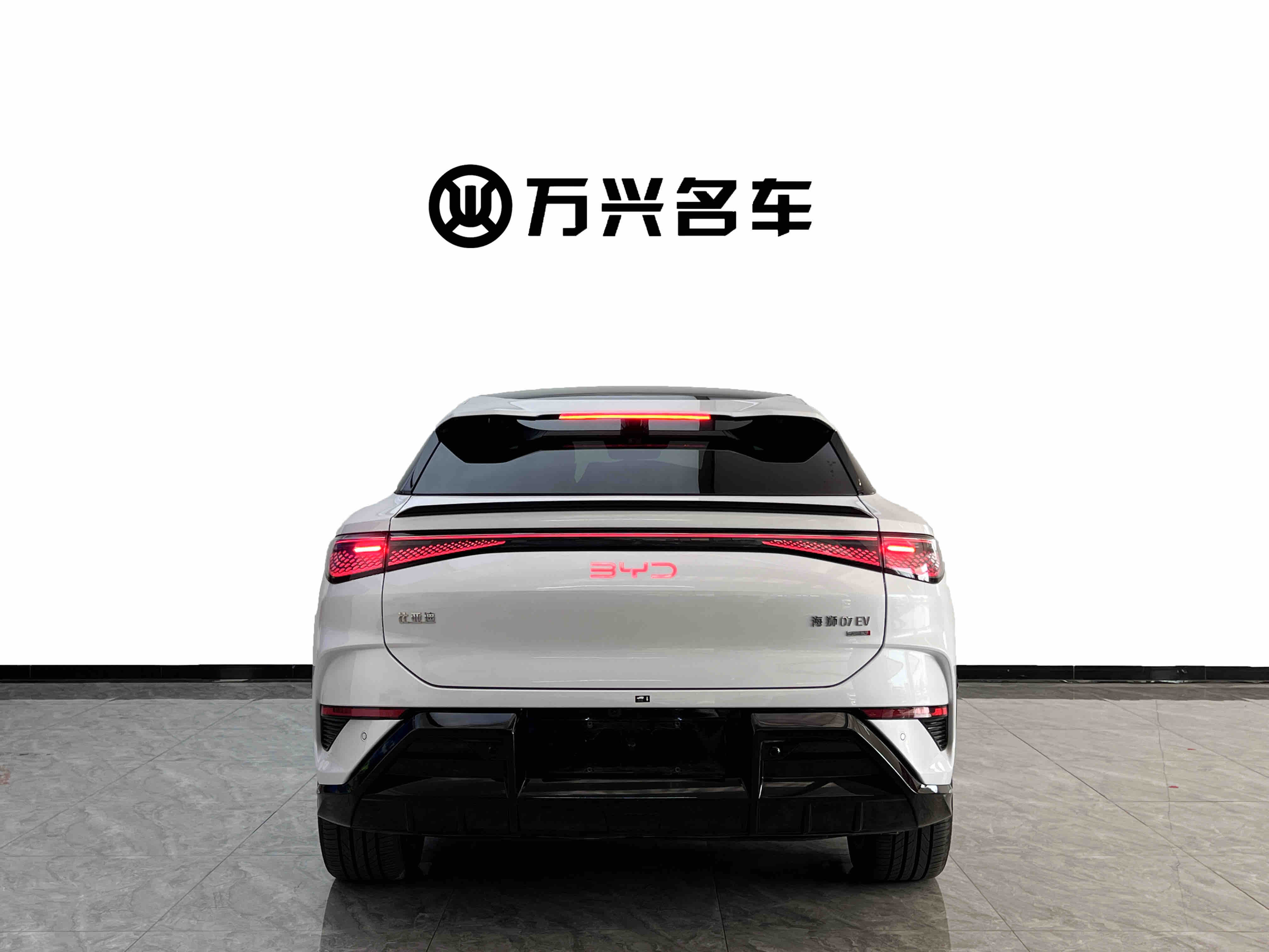 BYD Sea Lion 07 EV 2025 car image #5