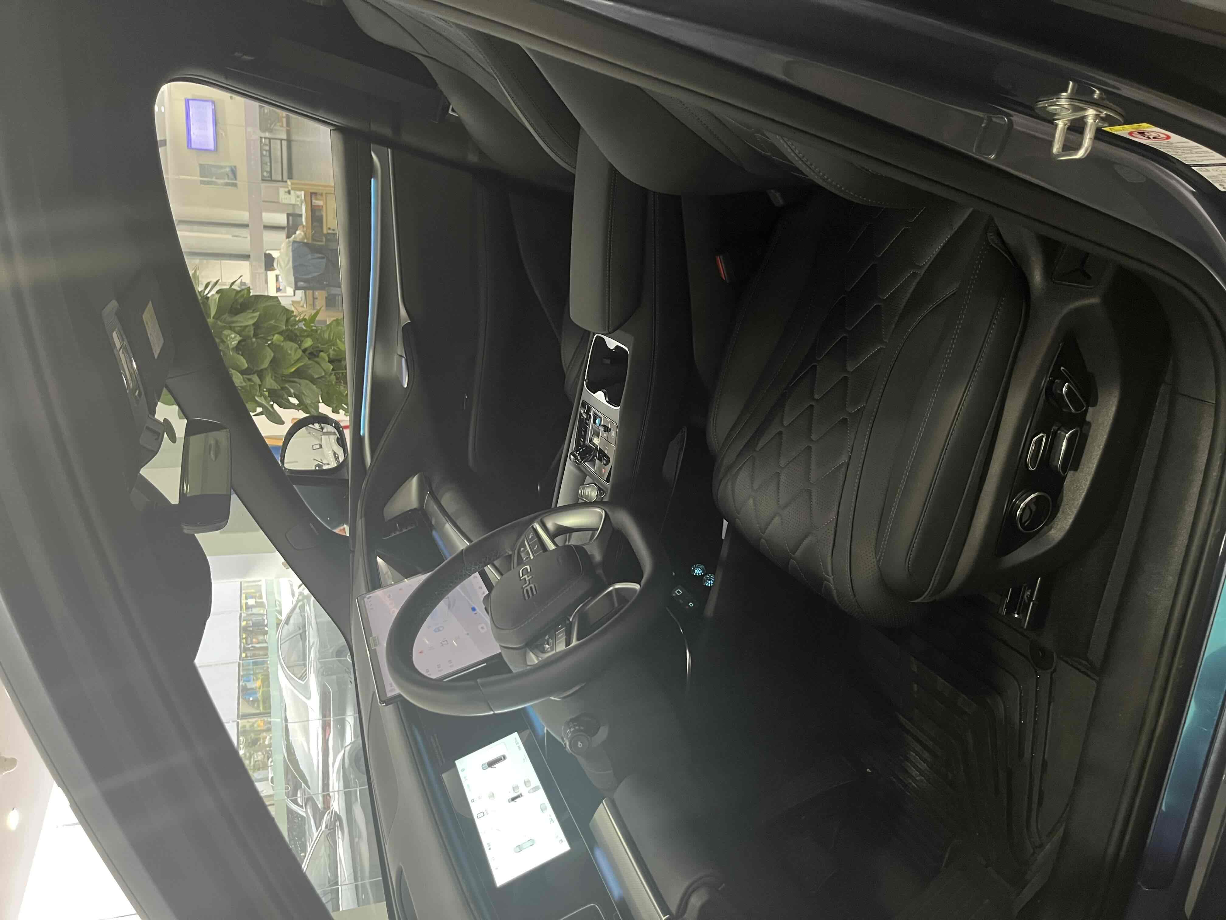 BYD Sea Lion 07 EV 2025 car image #5