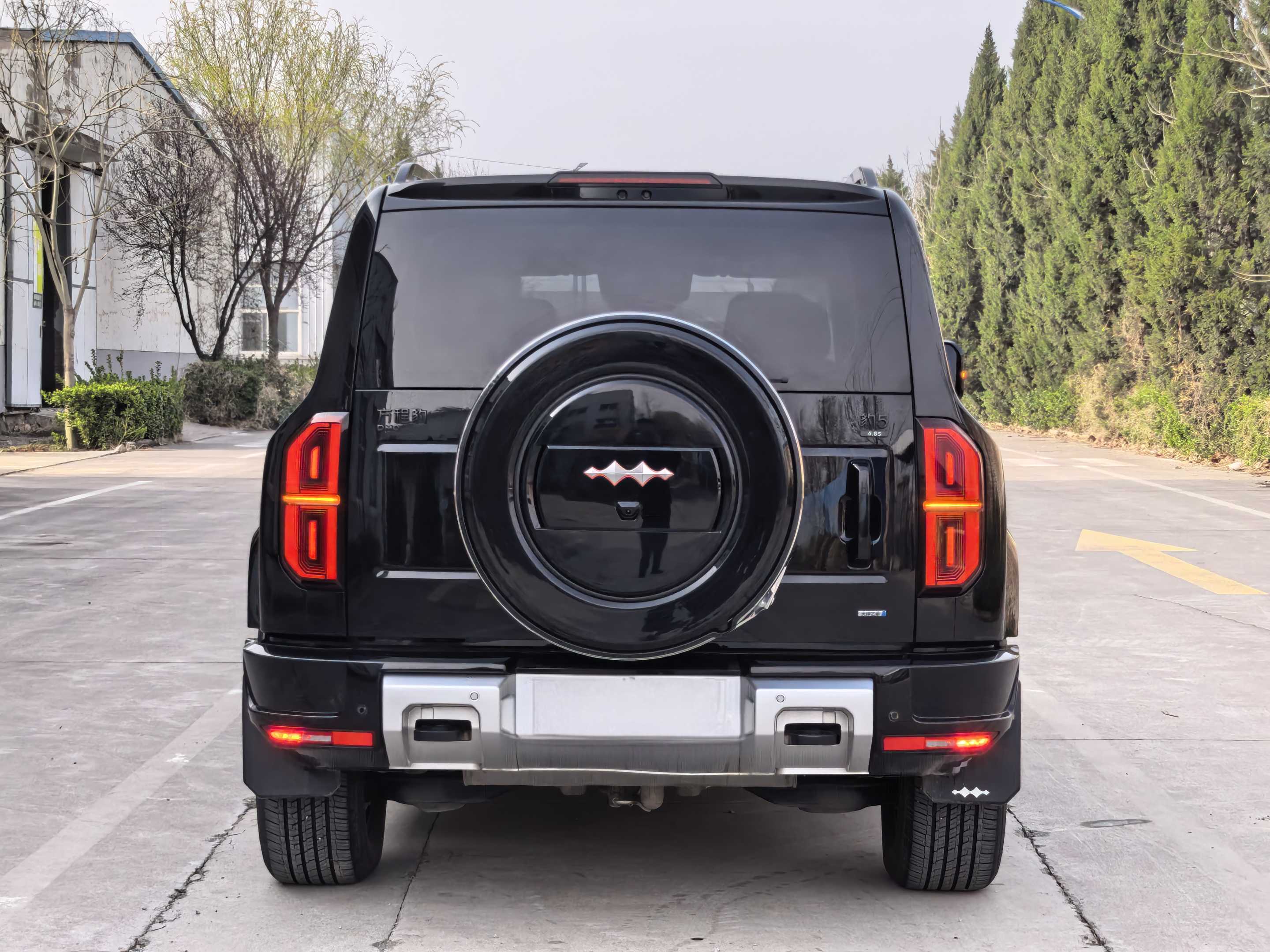 FangChengBao Leopard 5 2025 car image #5