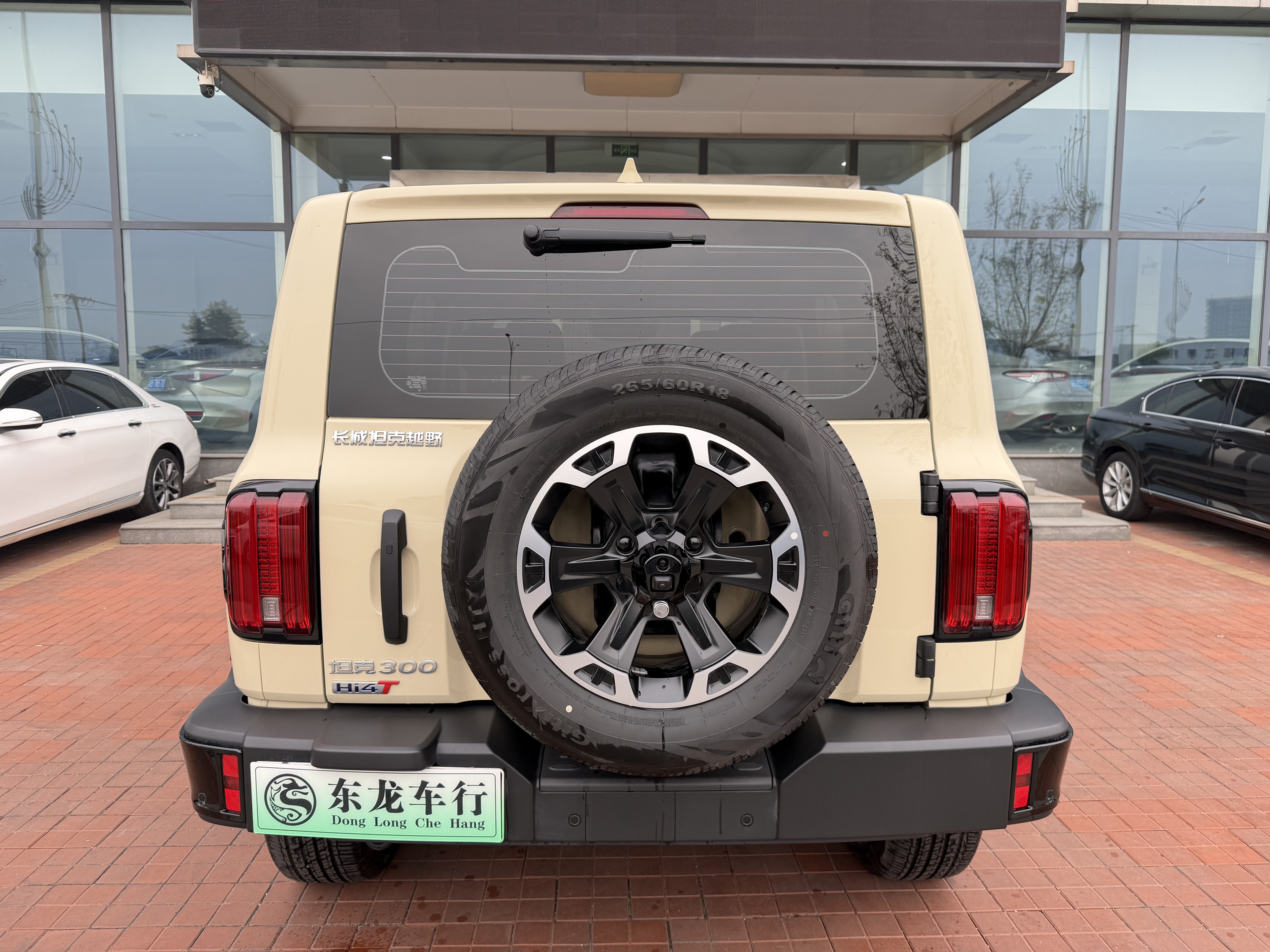 Tank 300 New Energy 2025 car image #5