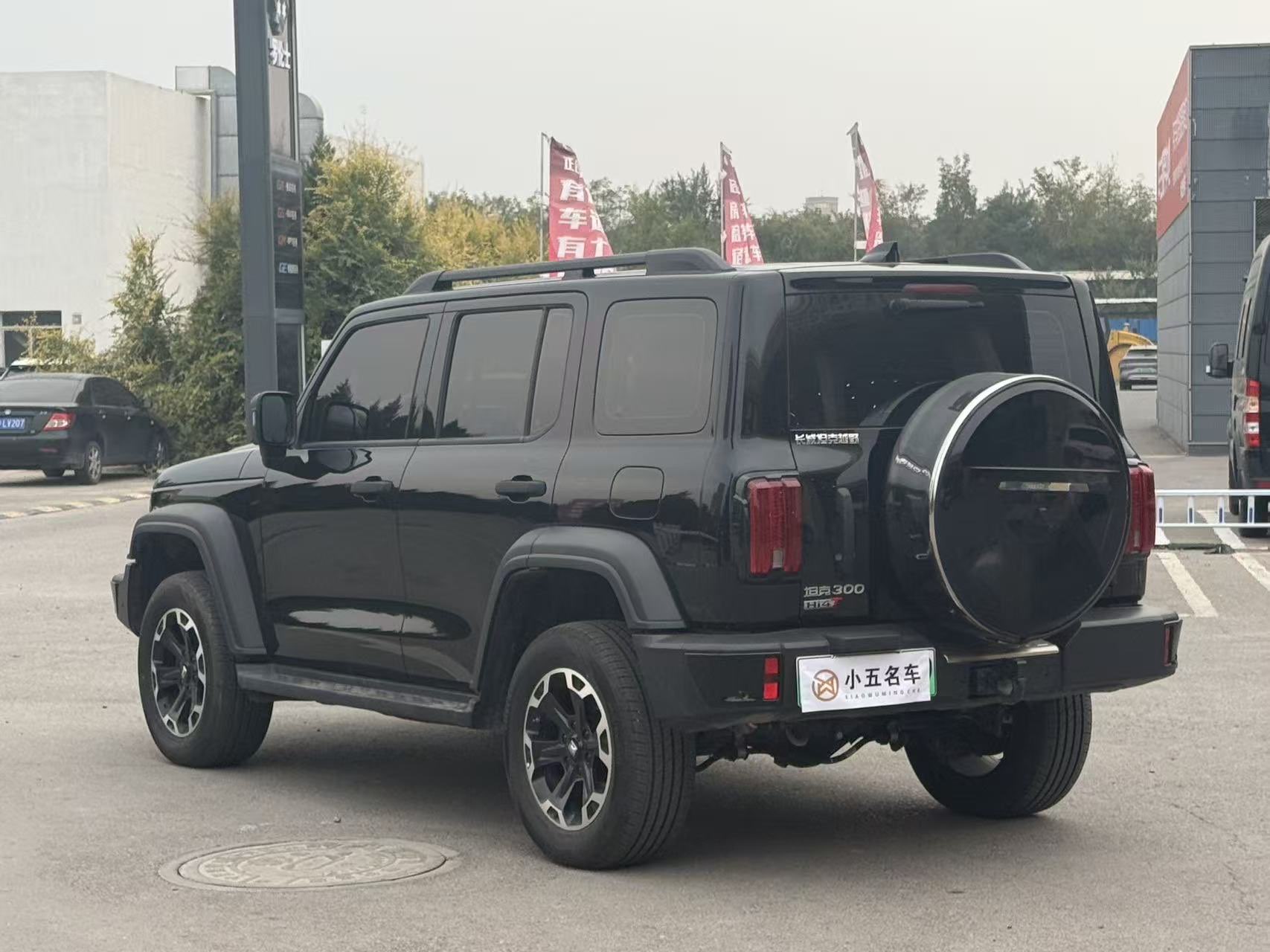 Tank 300 New Energy 2025 car image #5