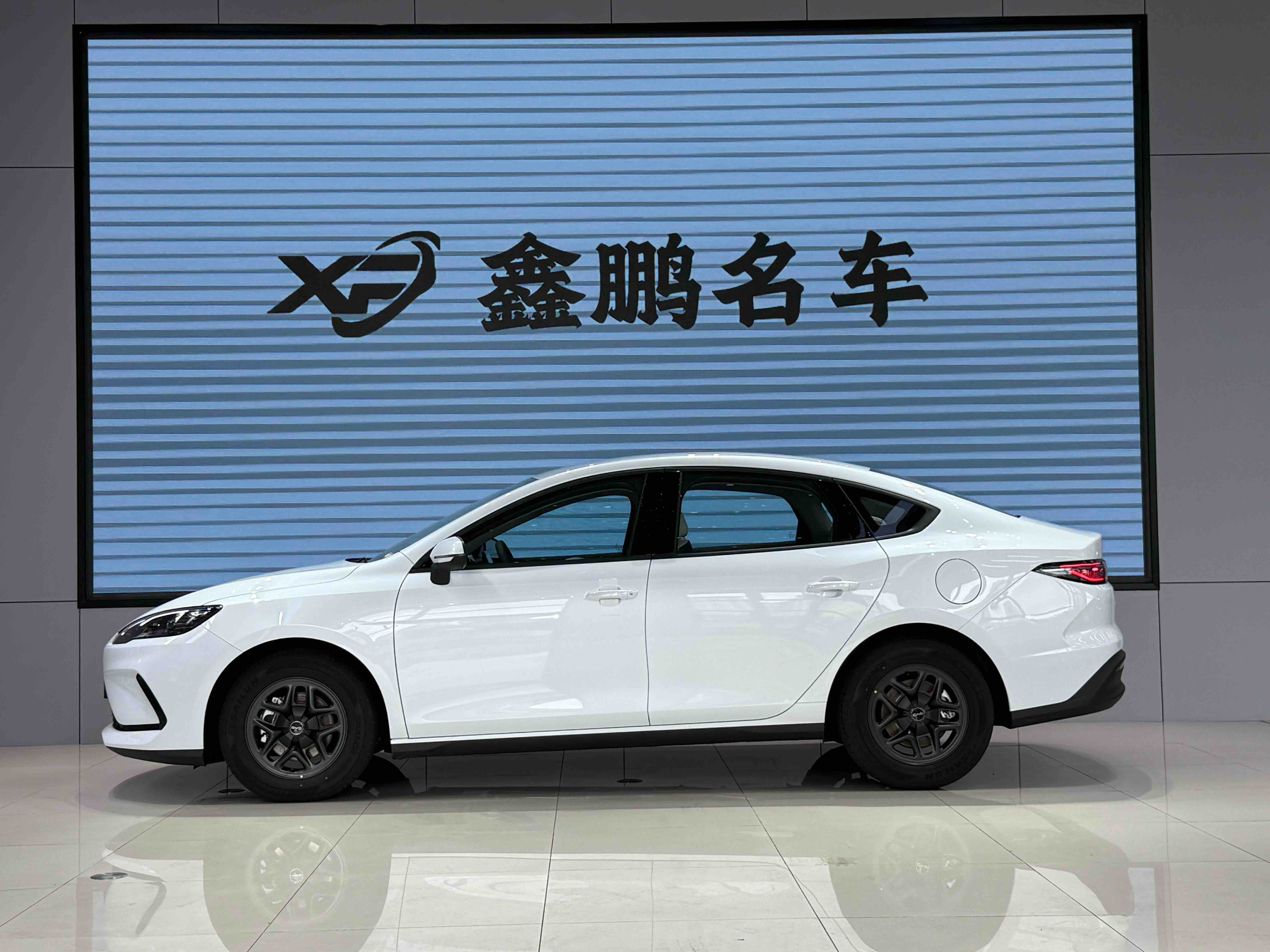 BYD Seal 05 DM-i 2025 immagine di auto #5