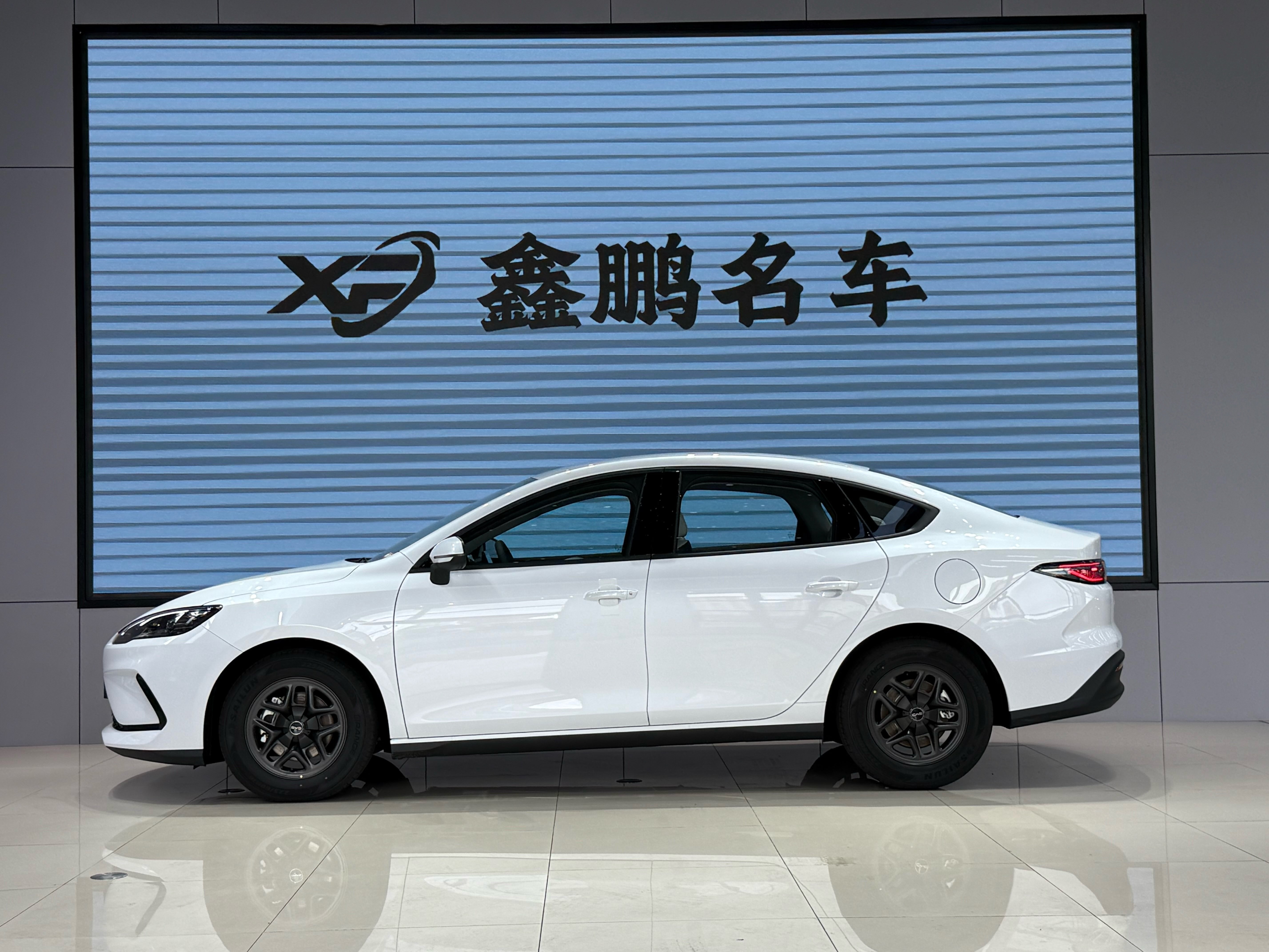 BYD Seal 05 DM-i 2025 car image #5