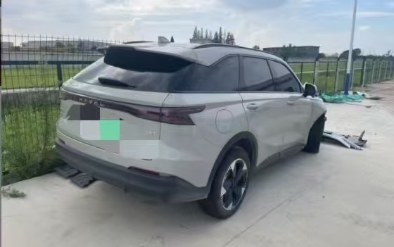 Haval Fierce Dragon MAX 2025 car image #5