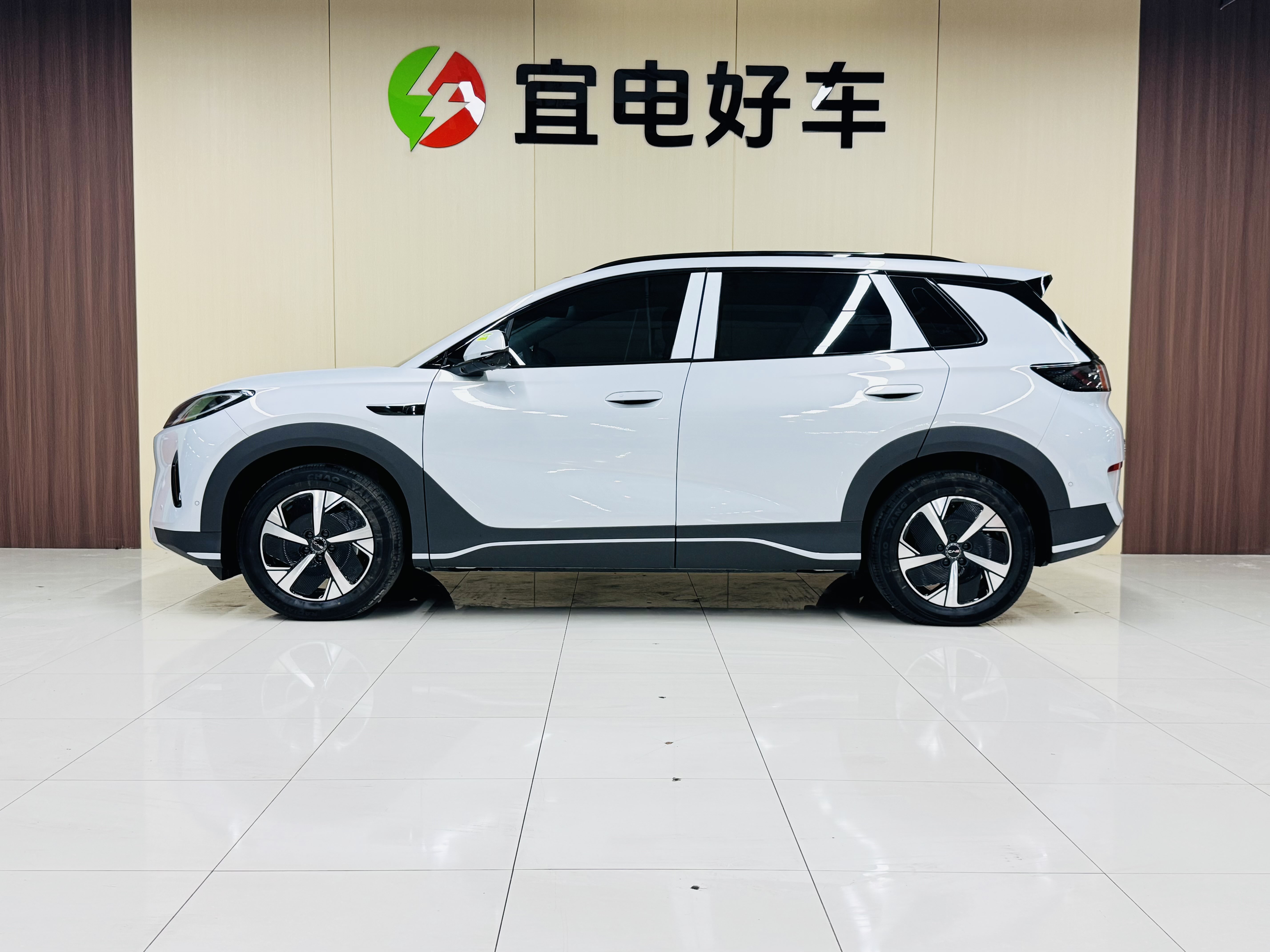 BYD Sea Lion 05 EV 2025 car image #5