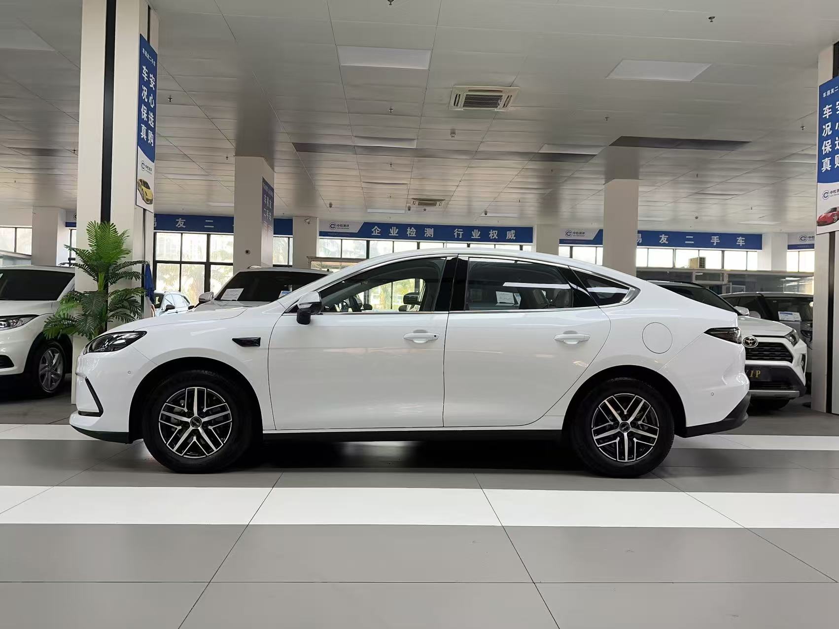 BYD Seal 05 DM-i 2025 car image #5