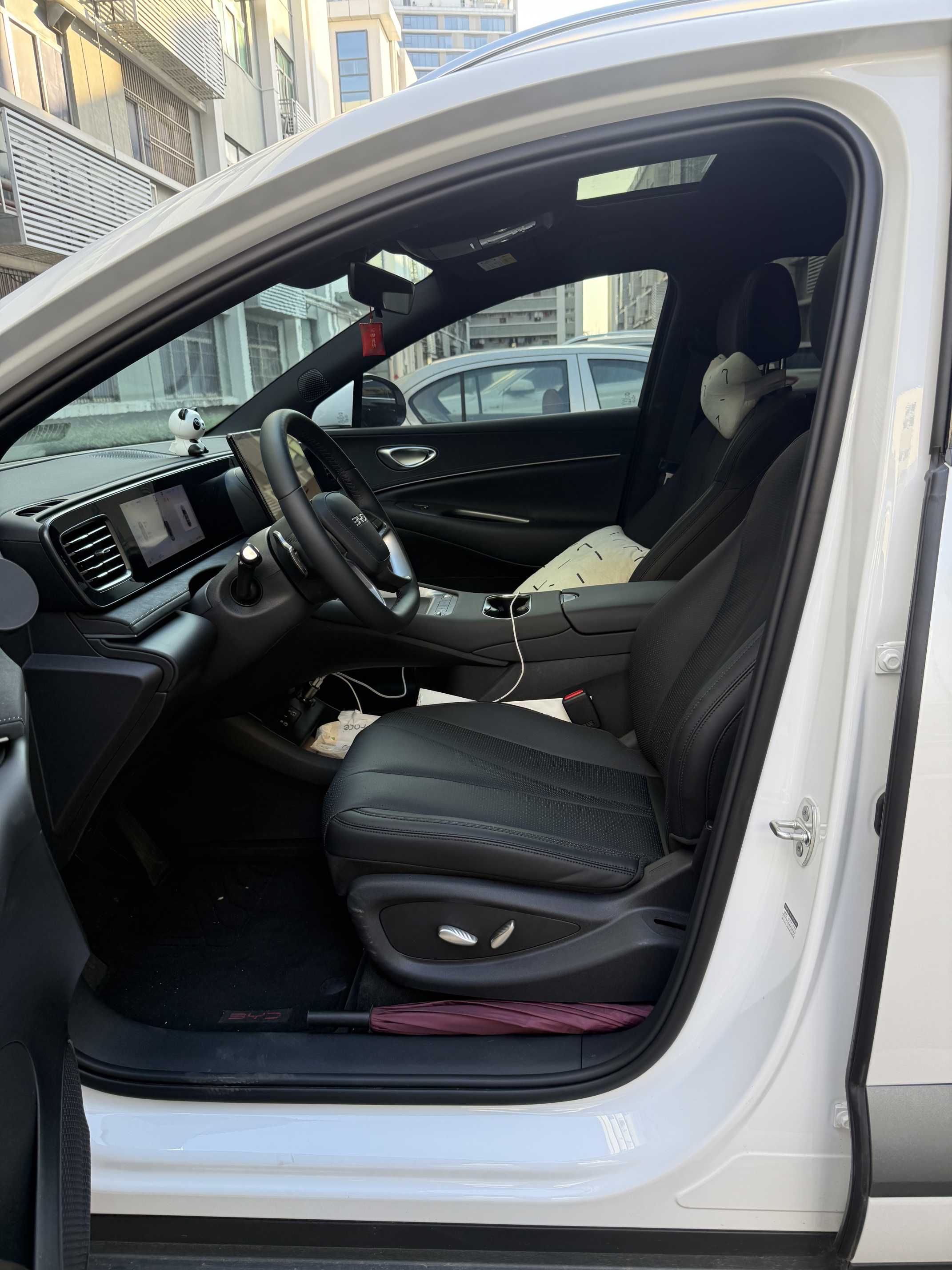 BYD Sea Lion 06 New Energy 2025 car image #5