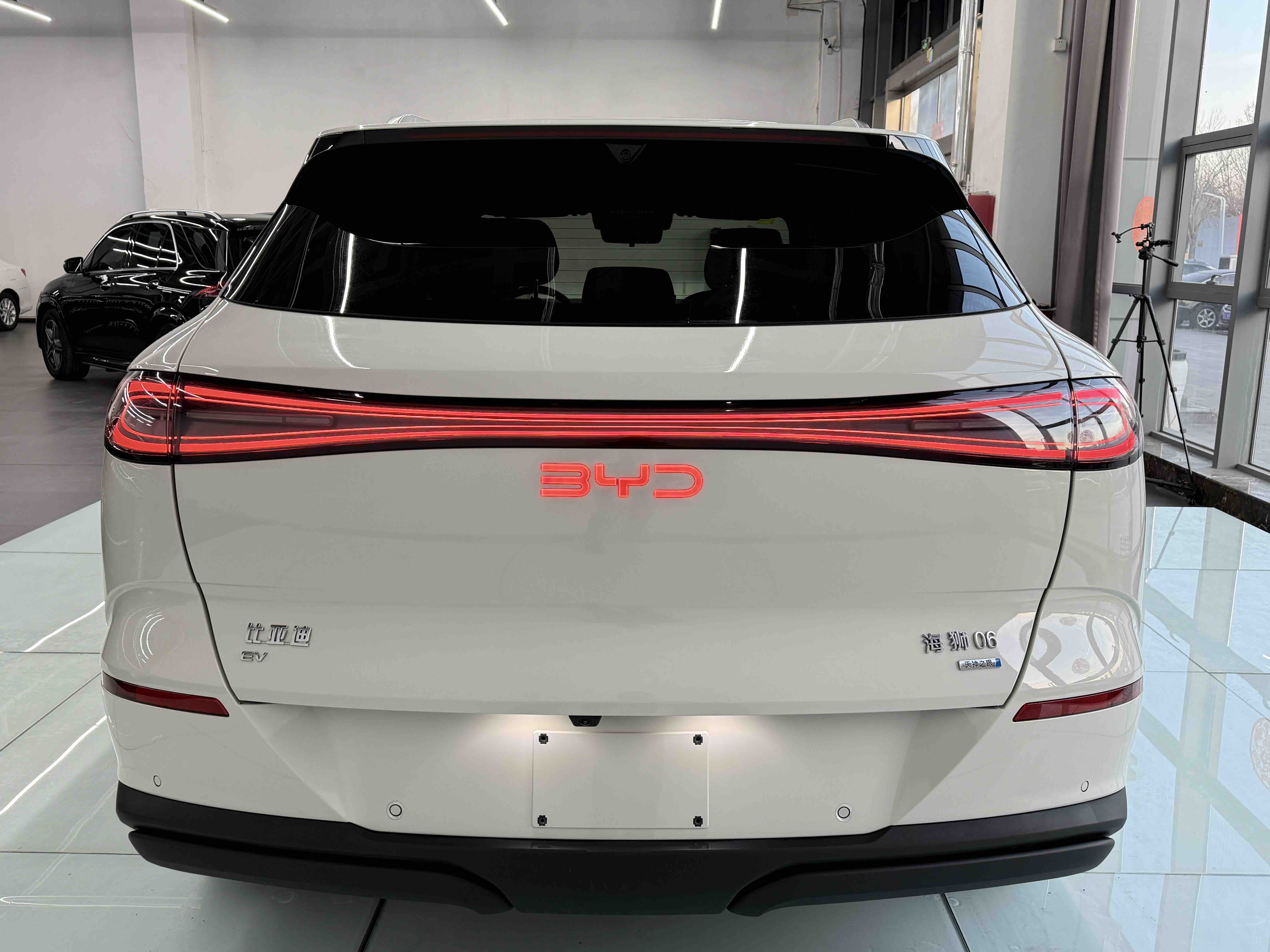 BYD Sea Lion 06 New Energy 2025 car image #5