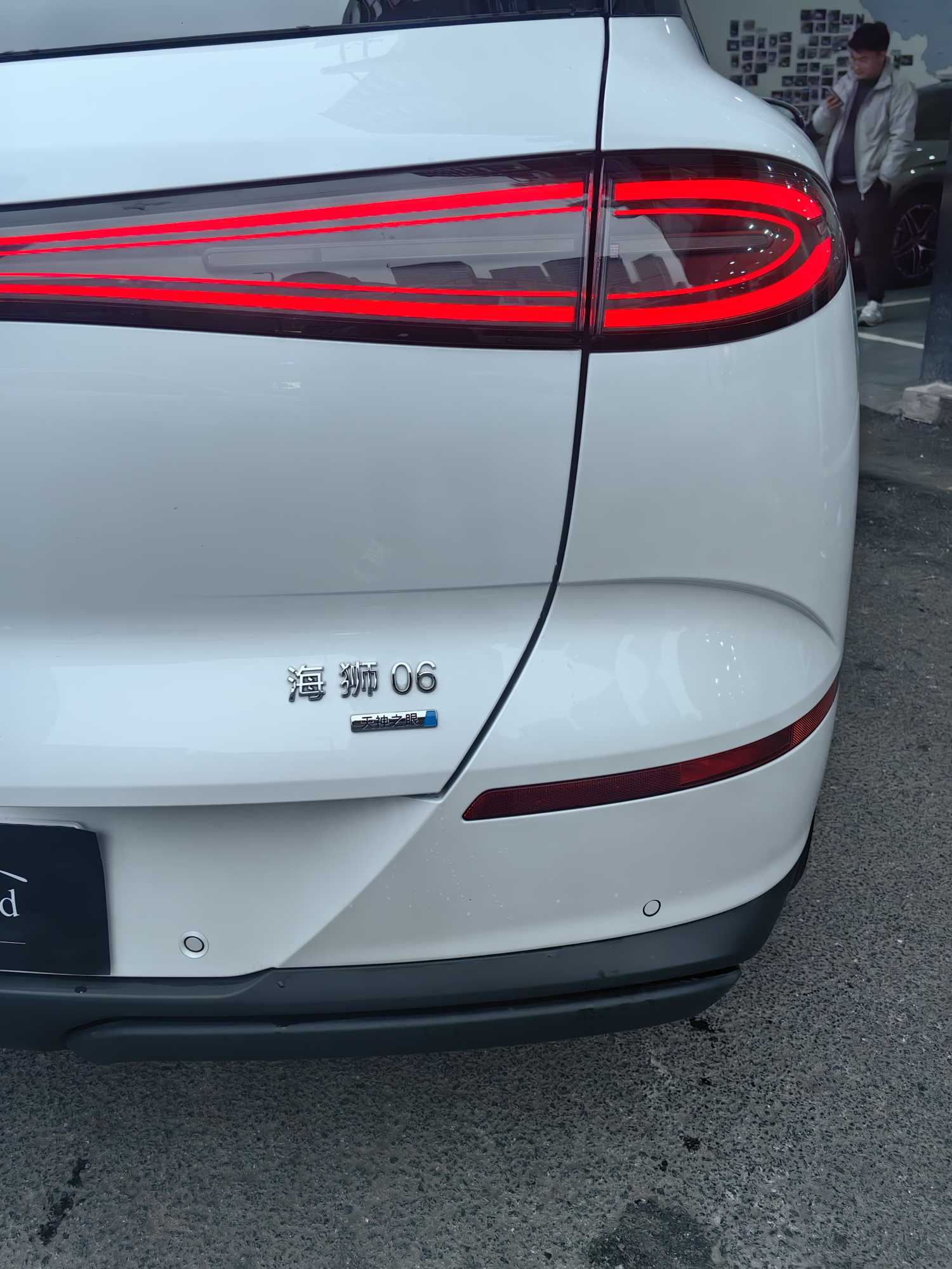 BYD Sea Lion 06 New Energy 2025 car image #5