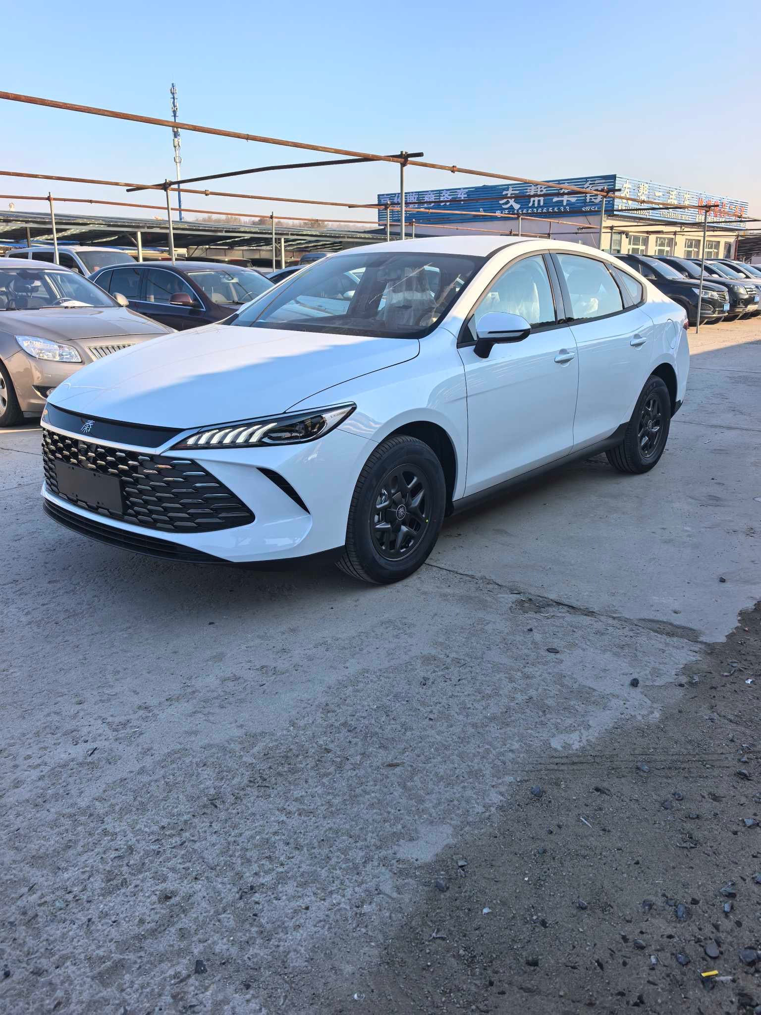 BYD Qin 2025 car image #5