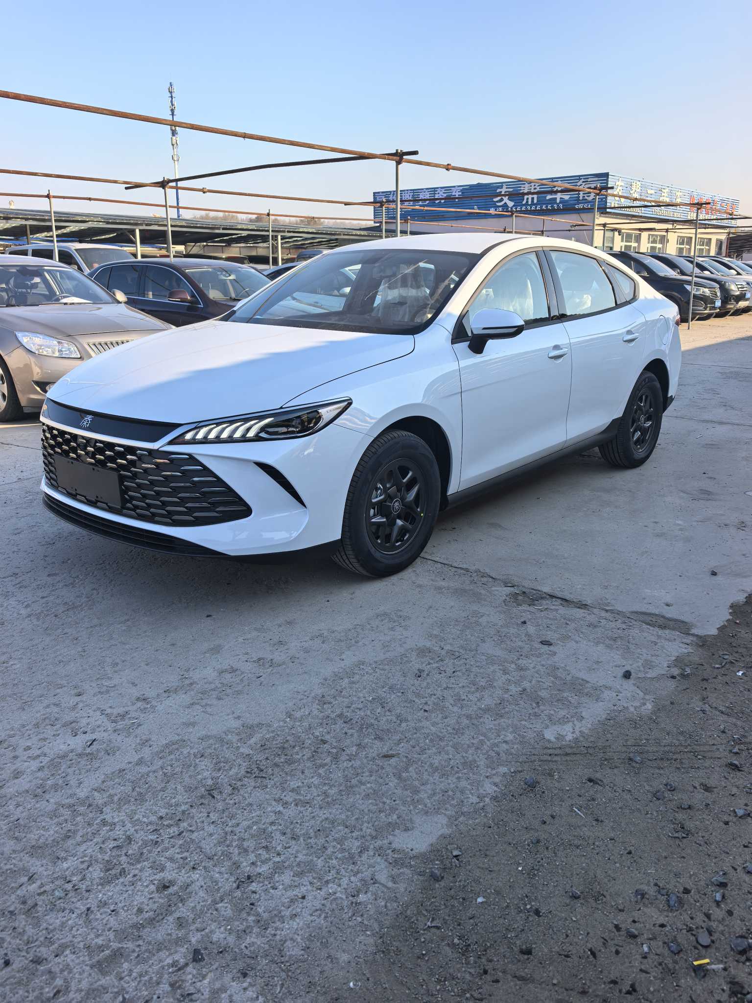 BYD Qin 2025 #5 BYD Qin 2025 car image #5