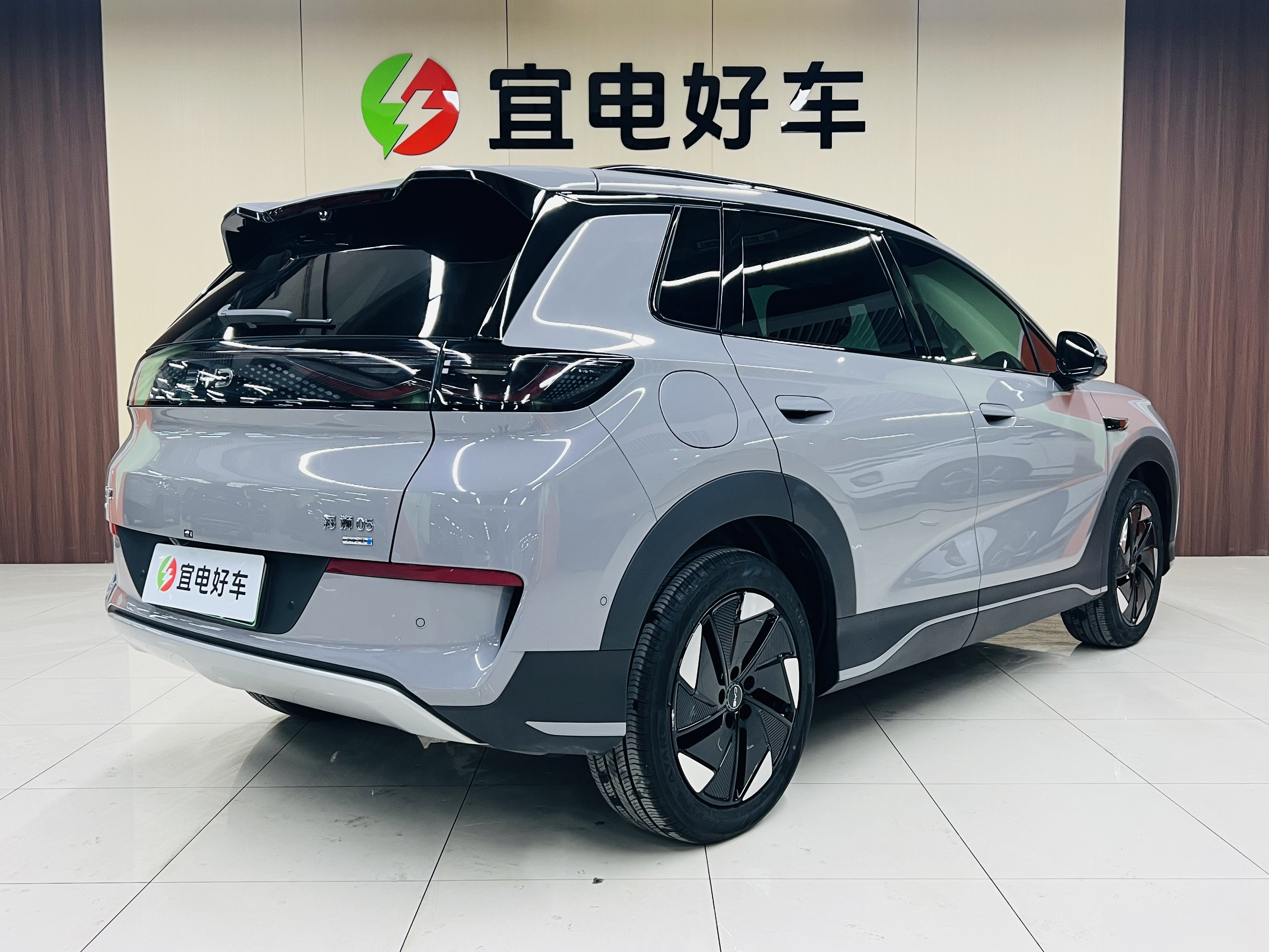 BYD Sea Lion 05 EV 2025 car image #5