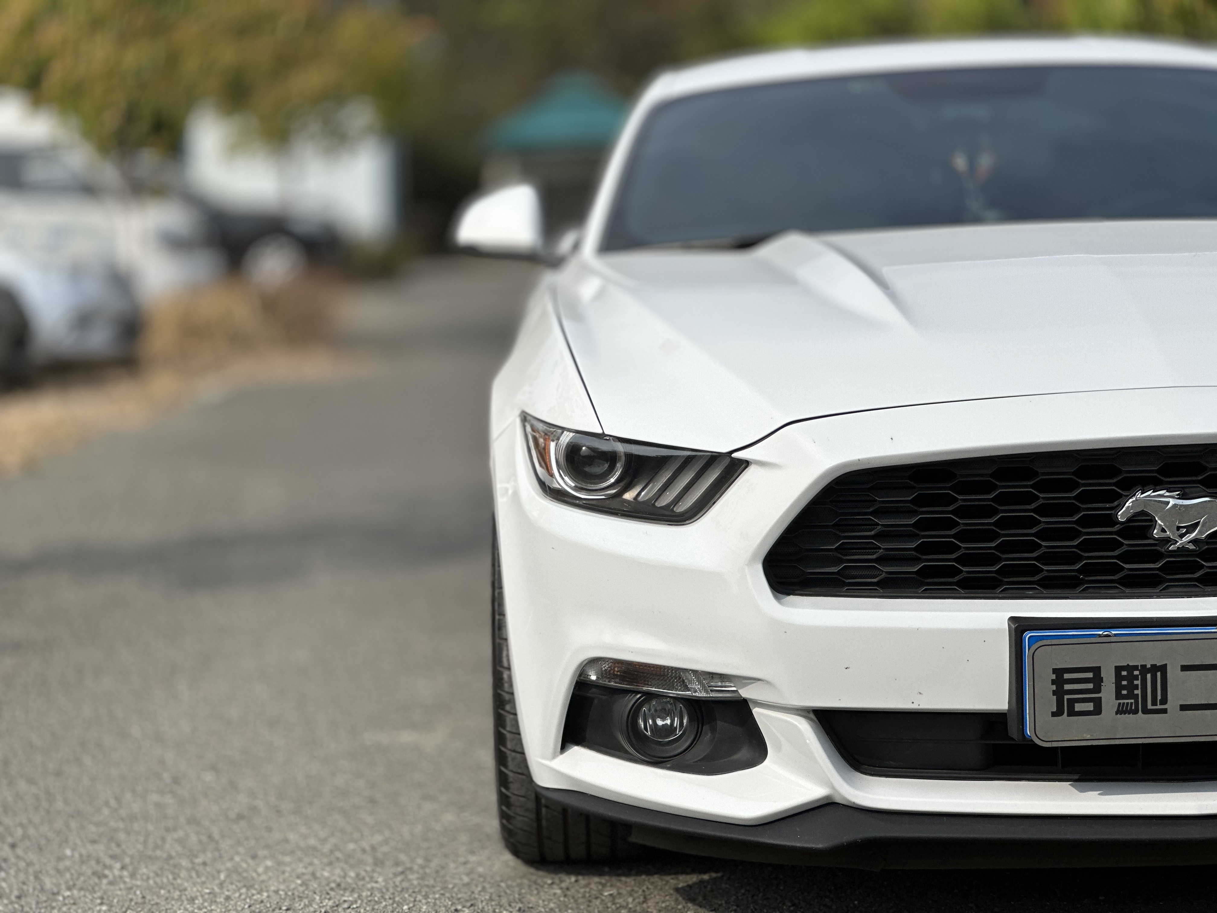 Ford Mustang 2015 car image #5