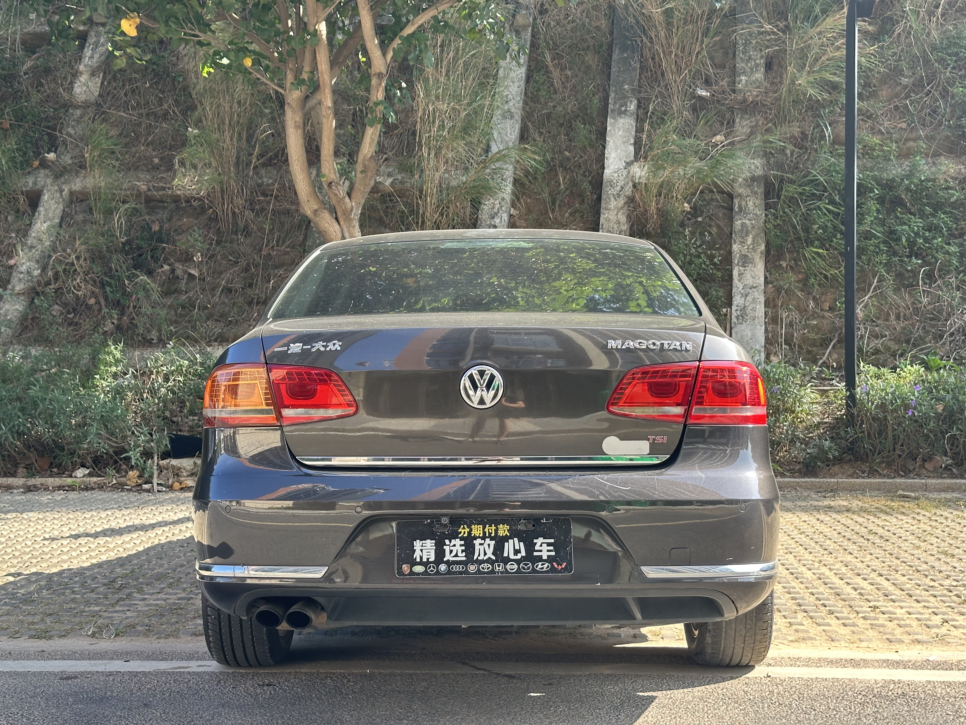 Volkswagen Magotan 2015 immagine di auto #5