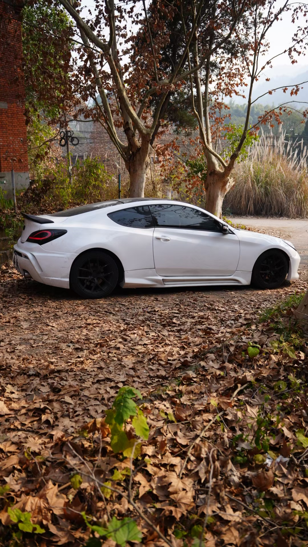 Hyundai Rohens-Coupe 2011 car image #5